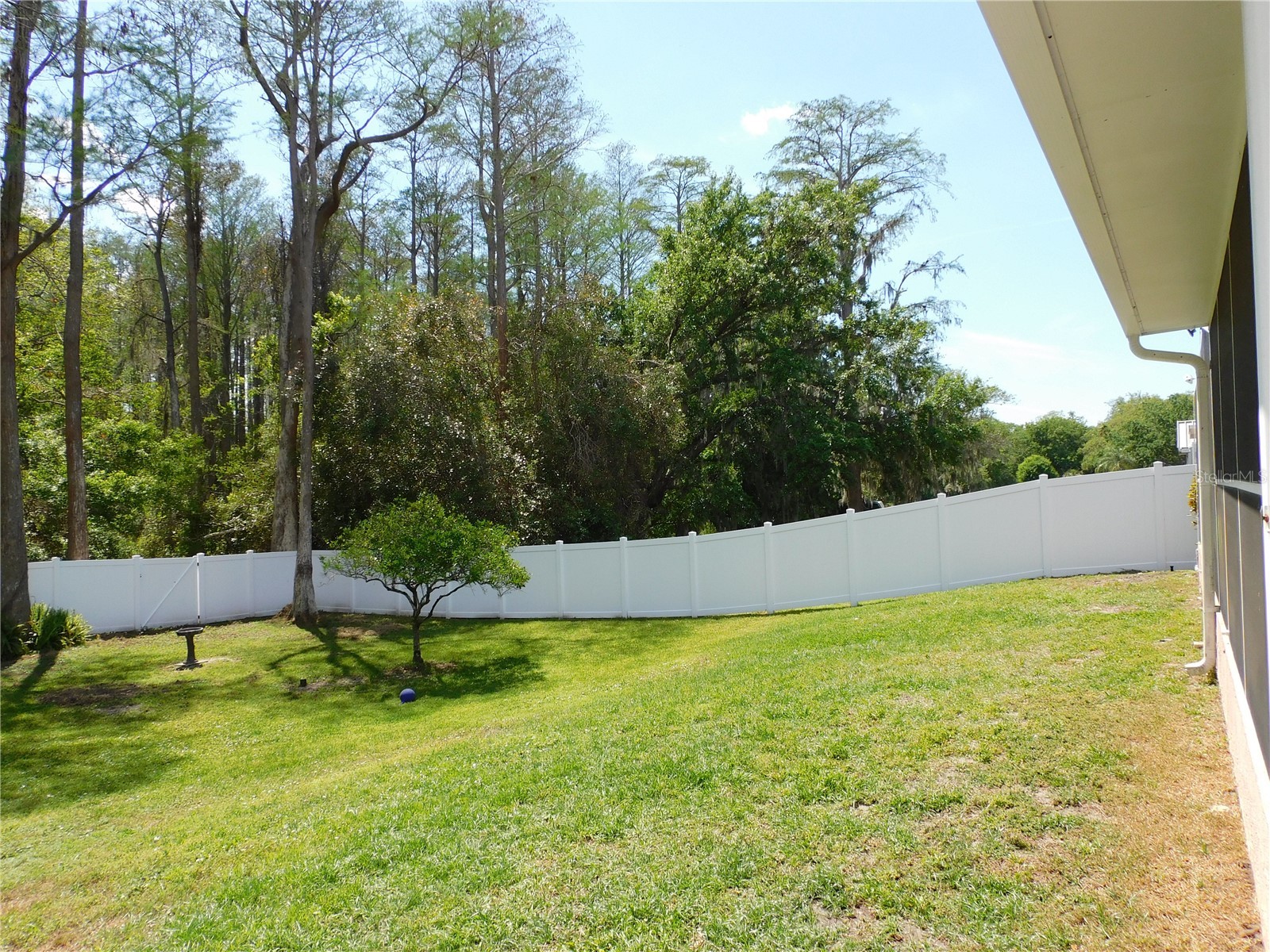 3128 Jodi Lane Palm Harbor FL 34684 TB8504256 image29