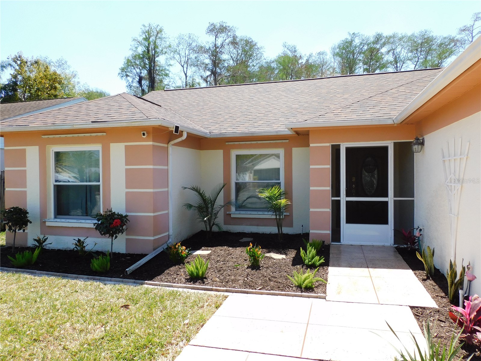 3128 Jodi Lane Palm Harbor FL 34684 TB8504256 image3