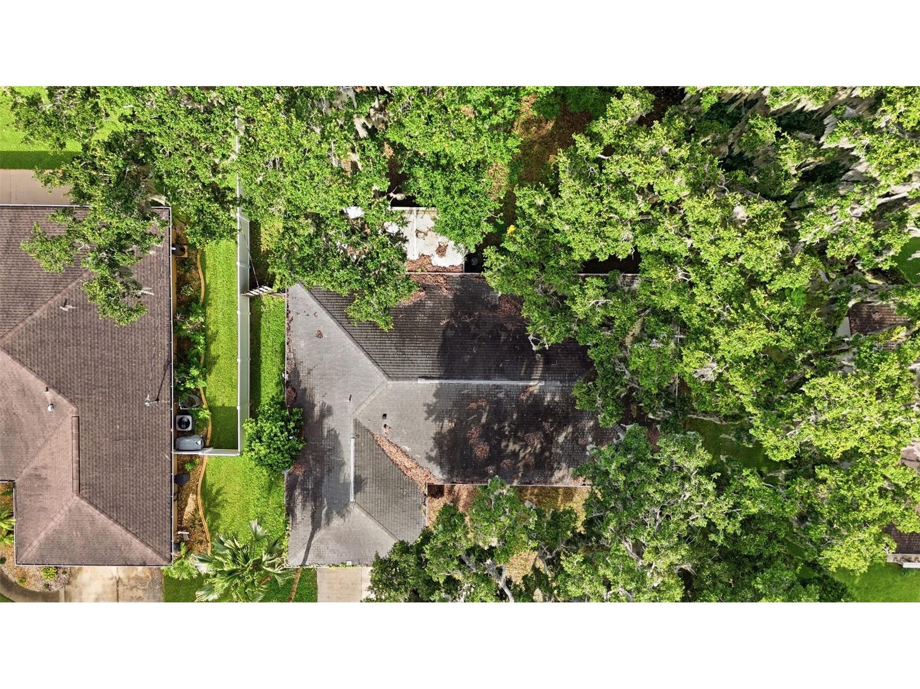 3128 Mango Tree Drive Edgewater FL 32141 V4950209 image41
