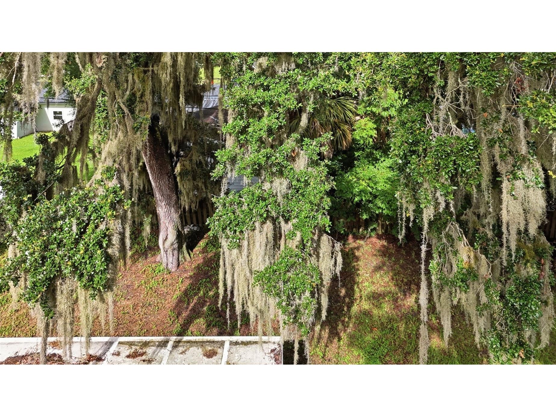 3128 Mango Tree Drive Edgewater FL 32141 V4950209 image43