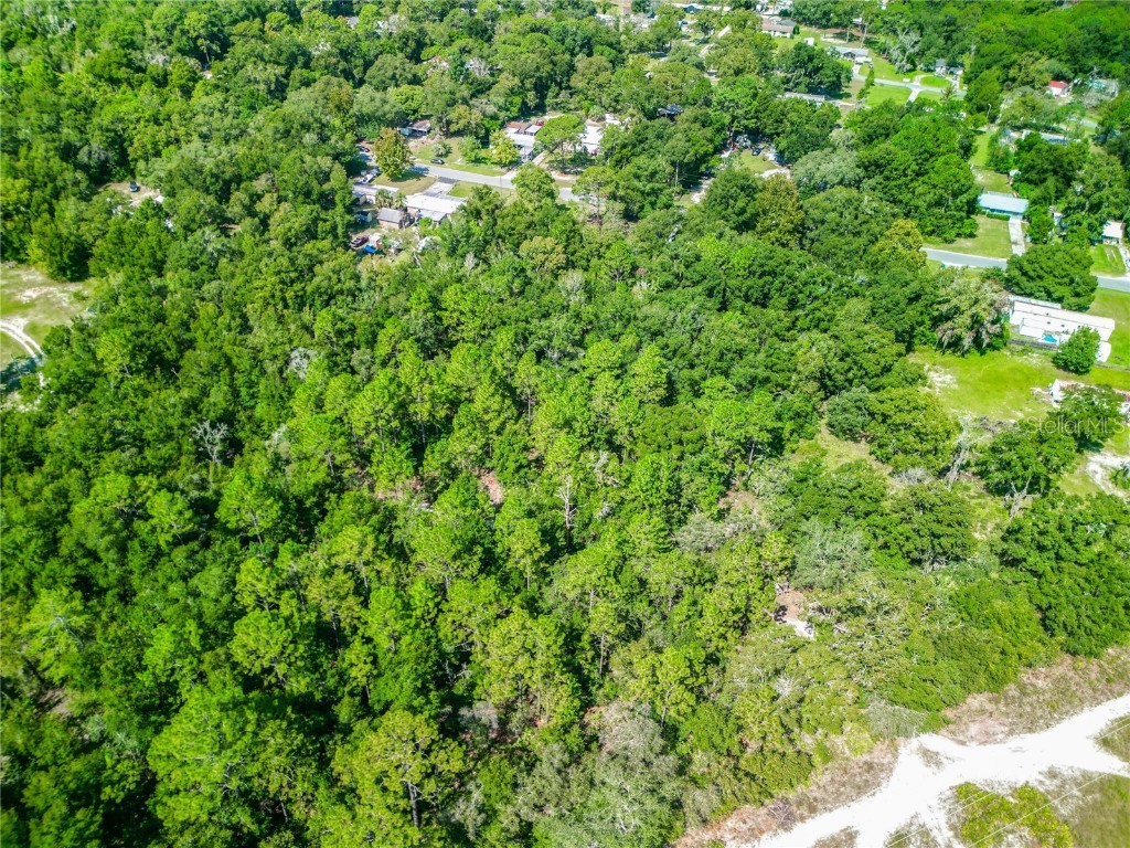 3128 N Bert Terrace Crystal River FL 34428 O6232720 image7