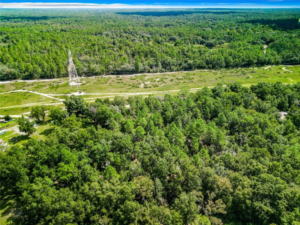 3128 N Bert Terrace Crystal River FL 34428 O6232720 image8