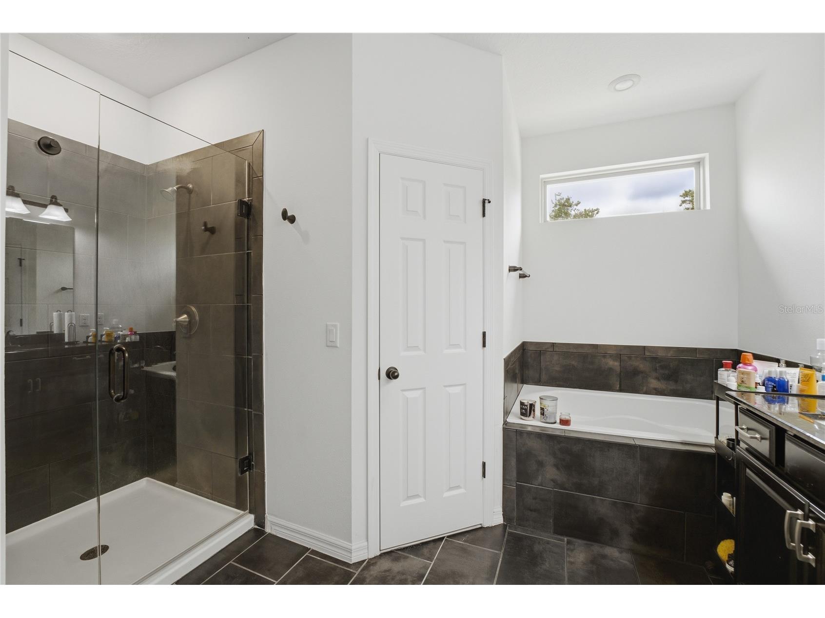 3129 Pinenut Drive Apopka FL 32712 O6388507 image31