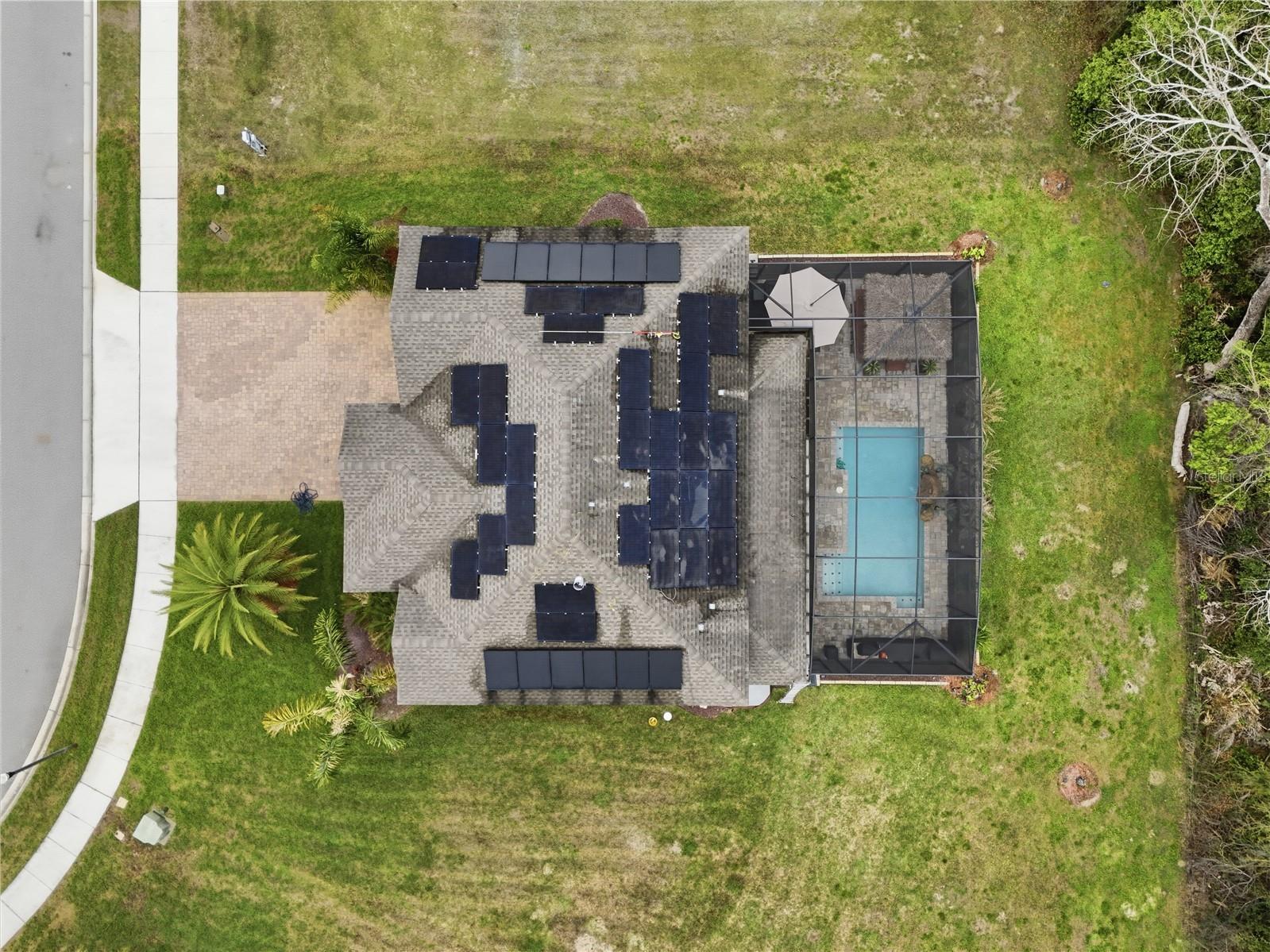 3129 Pinenut Drive Apopka FL 32712 O6388507 image5