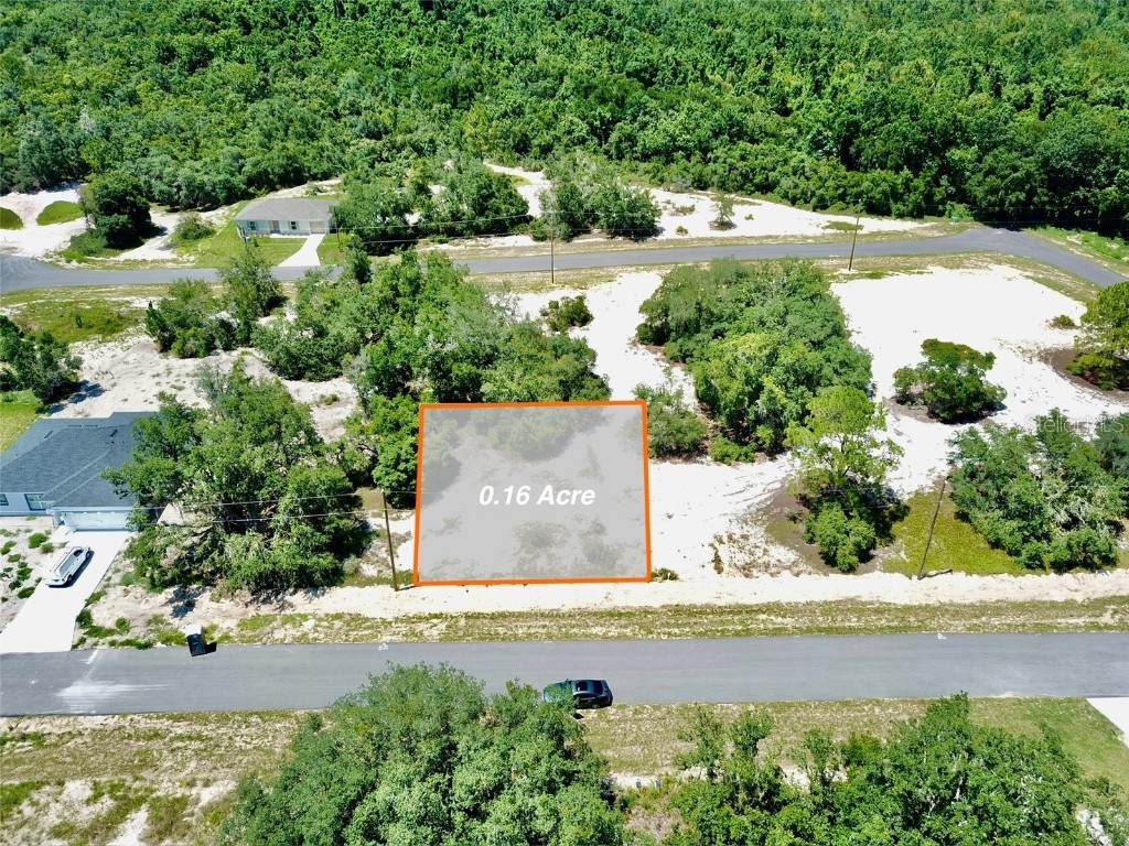 313 Amberjack Court Kissimmee FL 34759 O6220821 image1