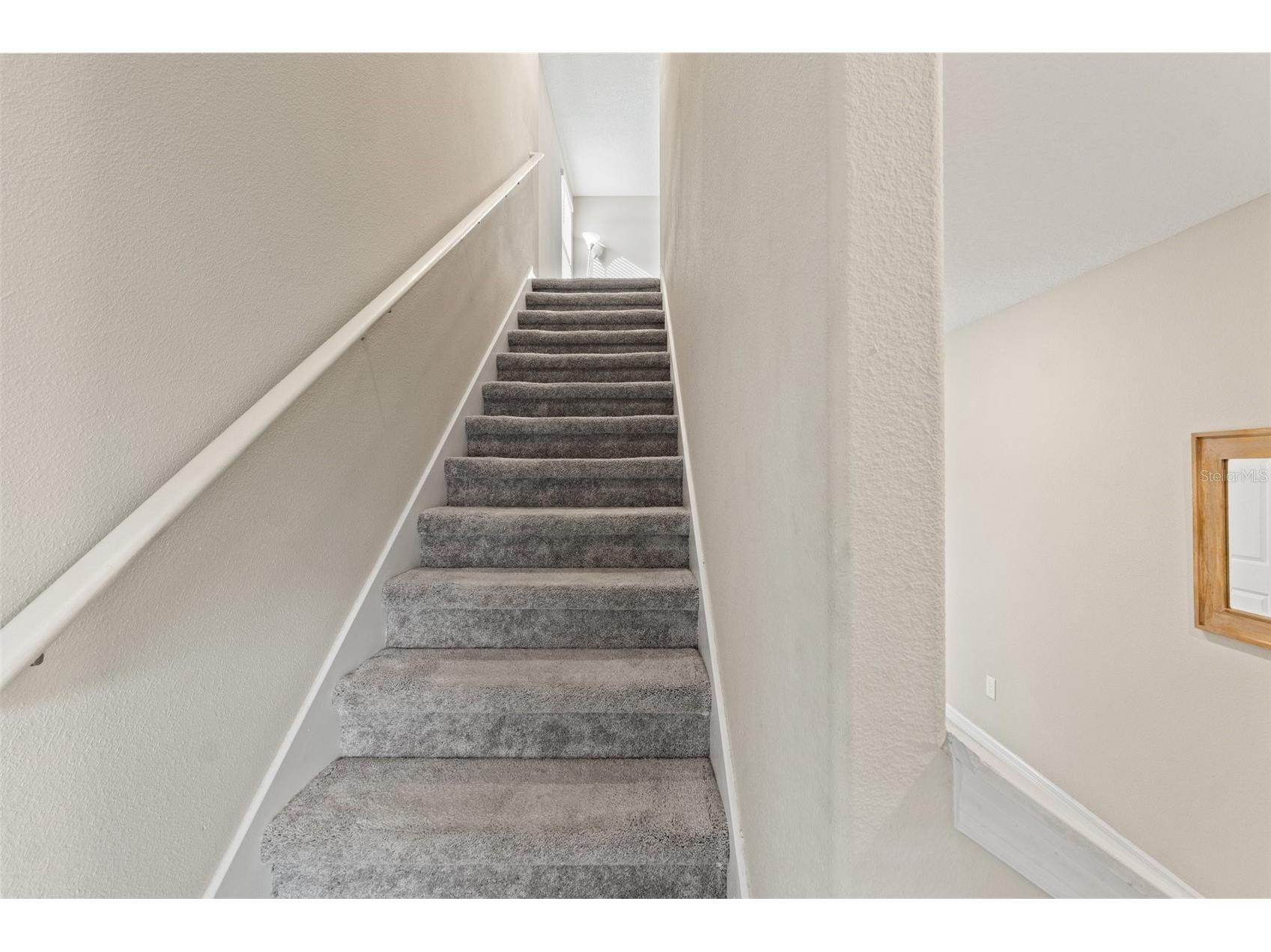 313 Argyll Drive Spring Hill FL 34609 TB8483458 image26