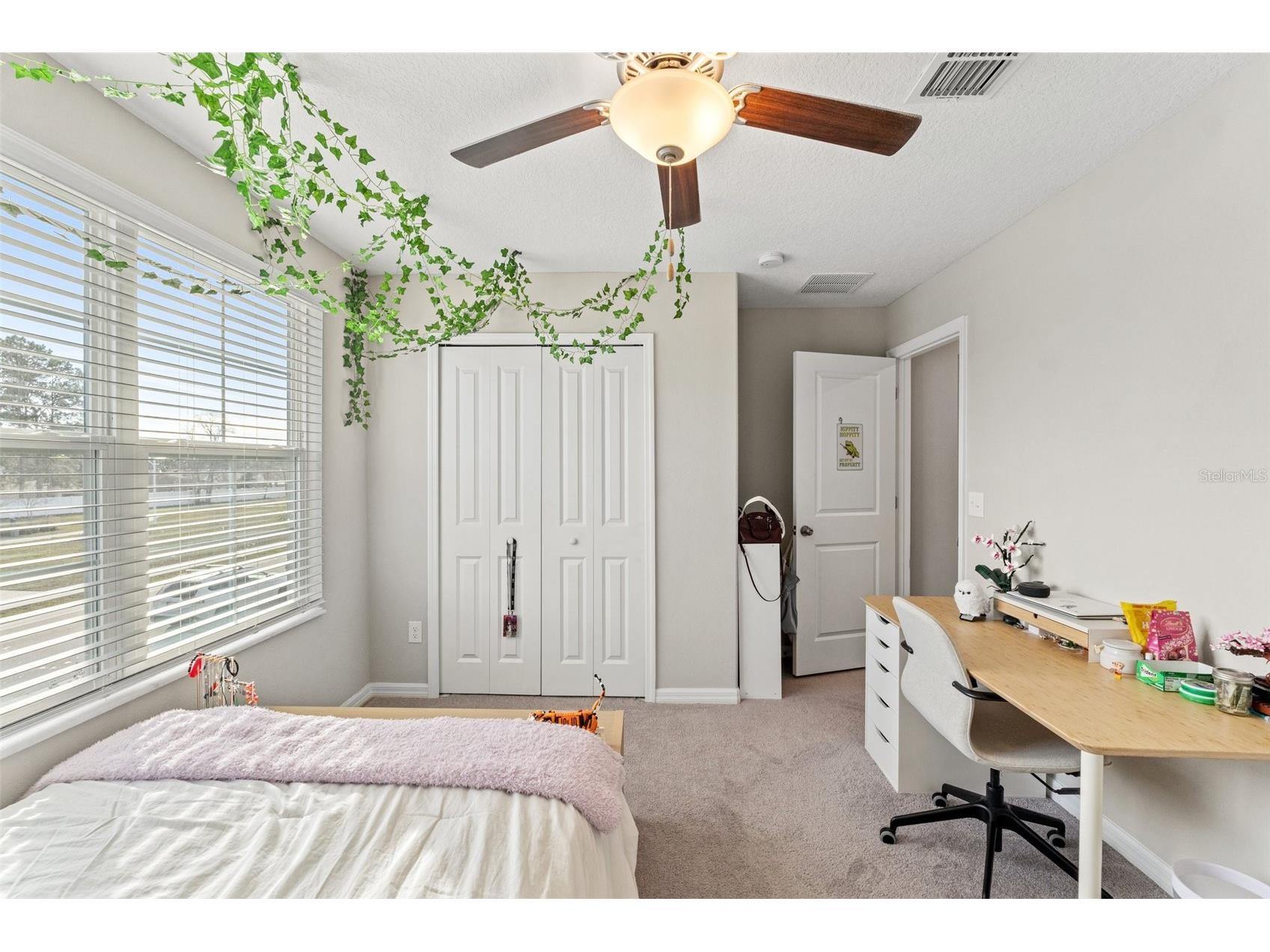 313 Argyll Drive Spring Hill FL 34609 TB8483458 image45