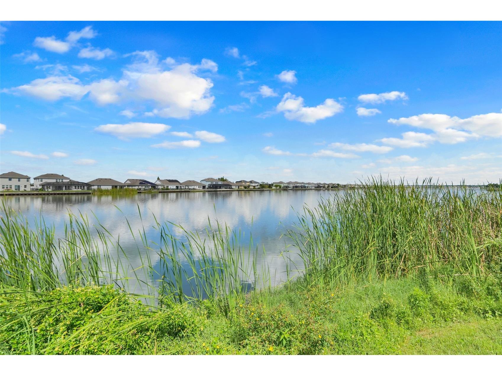 313 Blue Cypress Drive Groveland FL 34736 - LAKE MEMORY G5102294 image37