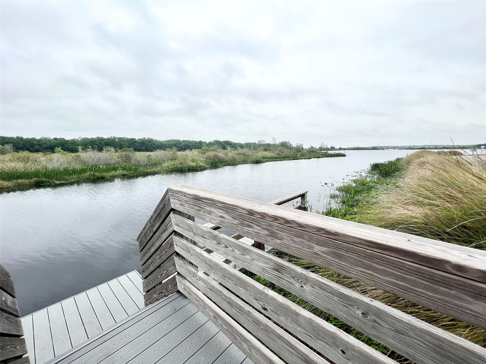 313 Blue Cypress Drive Groveland FL 34736 - LAKE MEMORY G5102294 image52