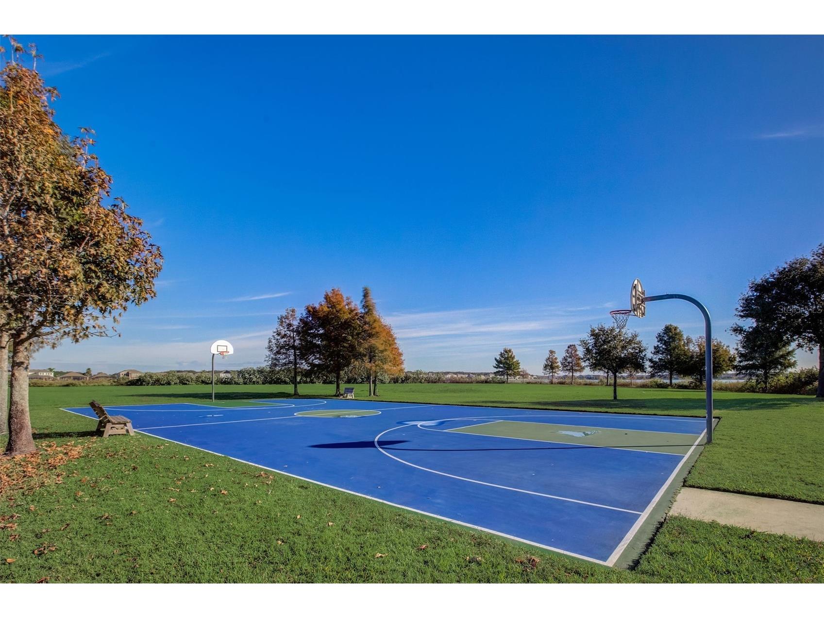 313 Blue Cypress Drive Groveland FL 34736 - LAKE MEMORY G5102294 image54