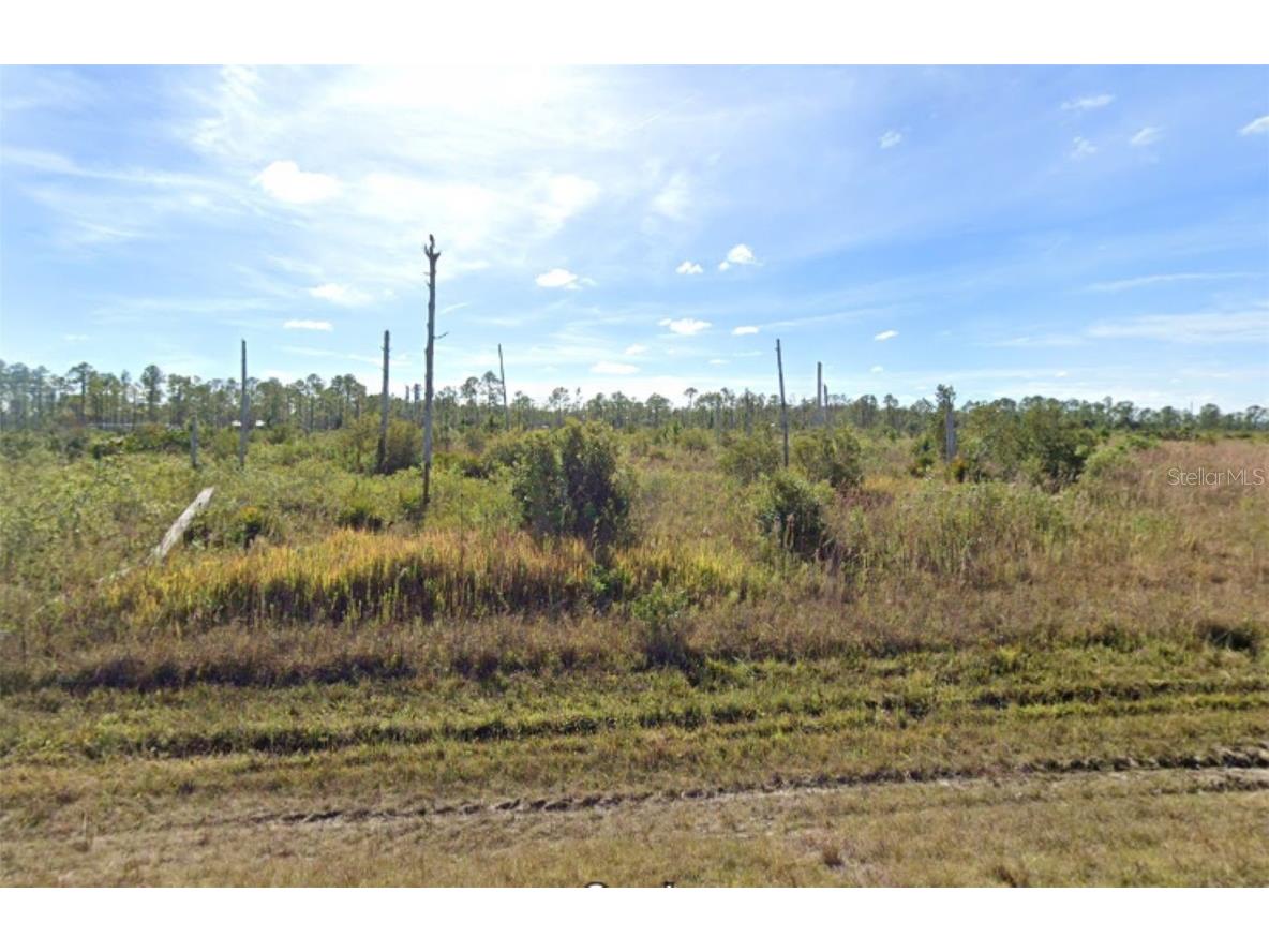 313 Calendula Drive Indian Lake Estates FL 33855 P4927975 image1