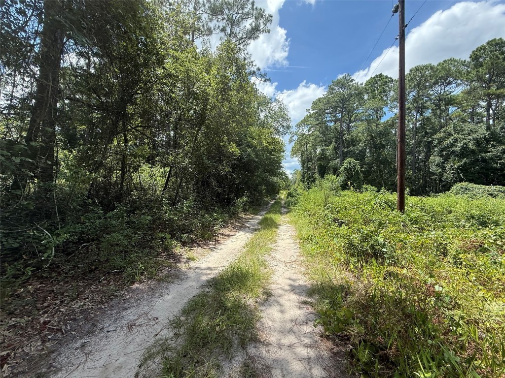 313 Calhoun Avenue Florahome FL 32140 OK225446 image2