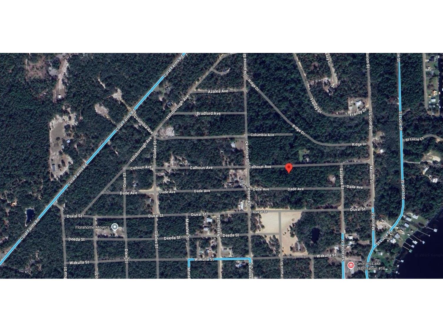 313 Calhoun Avenue Florahome FL 32140 OK225446 image7