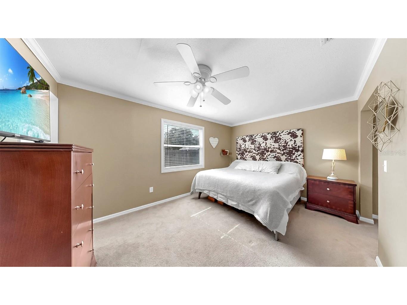 313 Congress Street Oldsmar FL 34677 TB8410740 image13