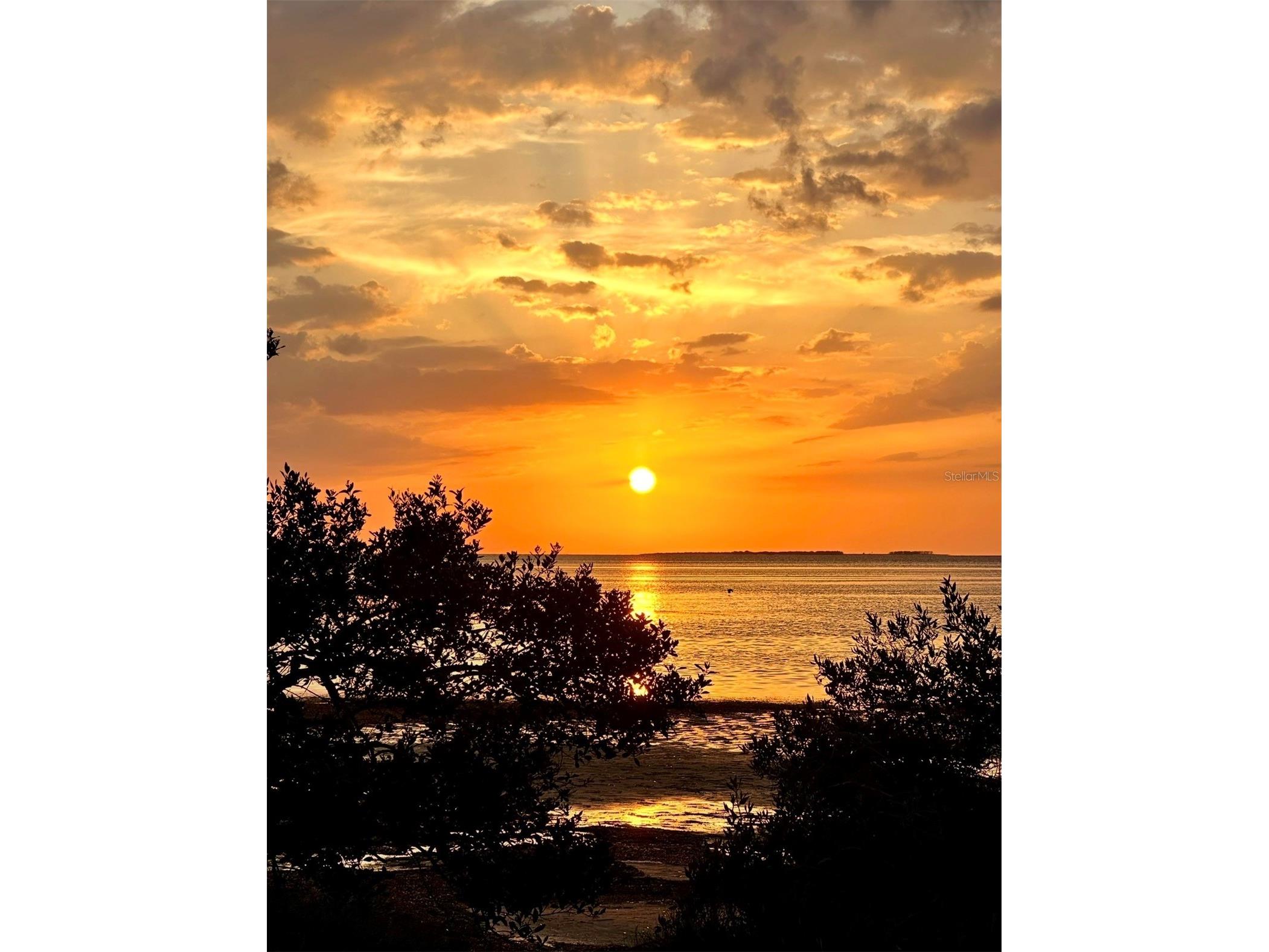 313 Crystal Beach Avenue Crystal Beach FL 34681 O6409459 image53