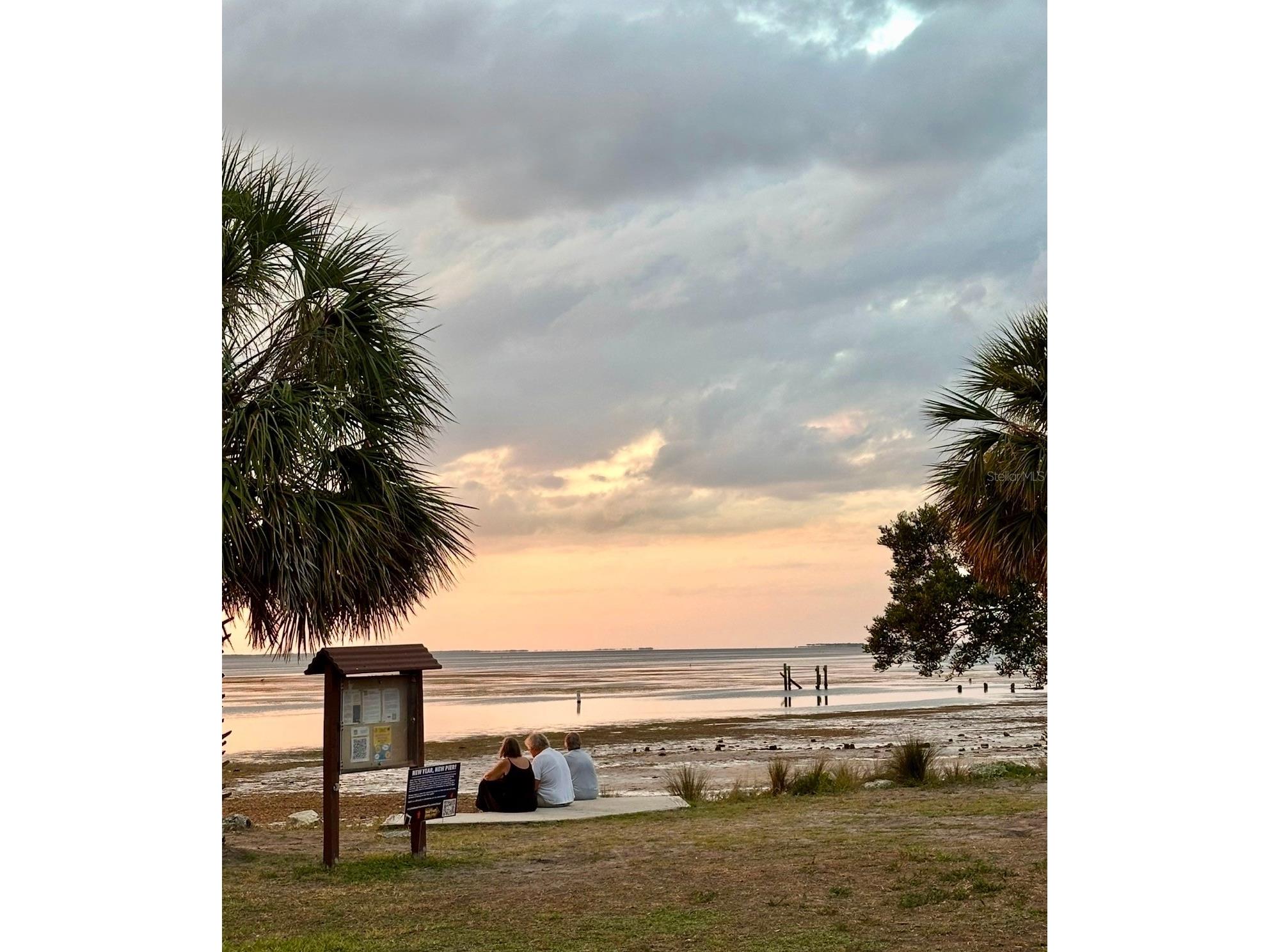 313 Crystal Beach Avenue Crystal Beach FL 34681 O6409459 image54