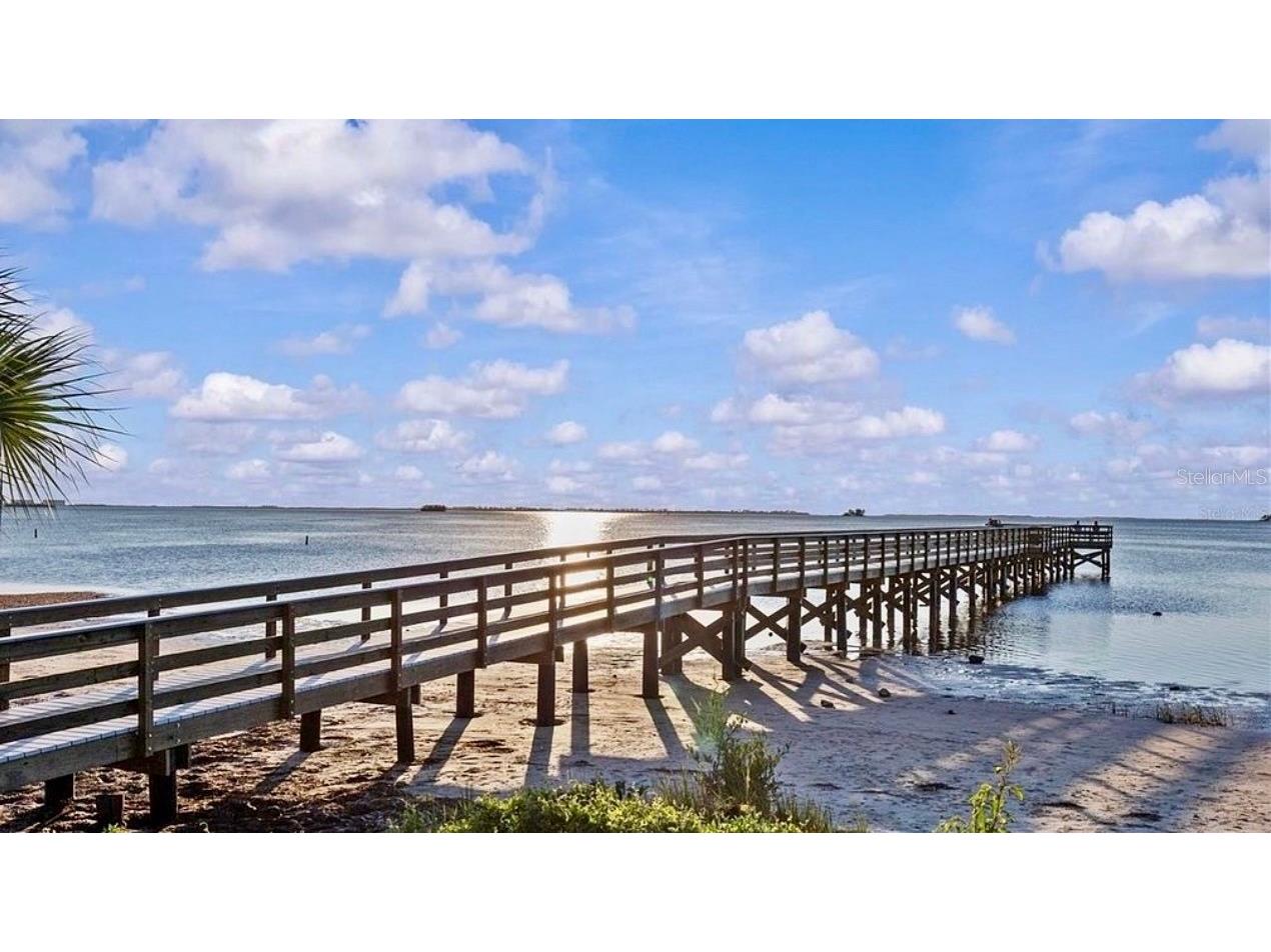 313 Crystal Beach Avenue Crystal Beach FL 34681 O6409459 image55