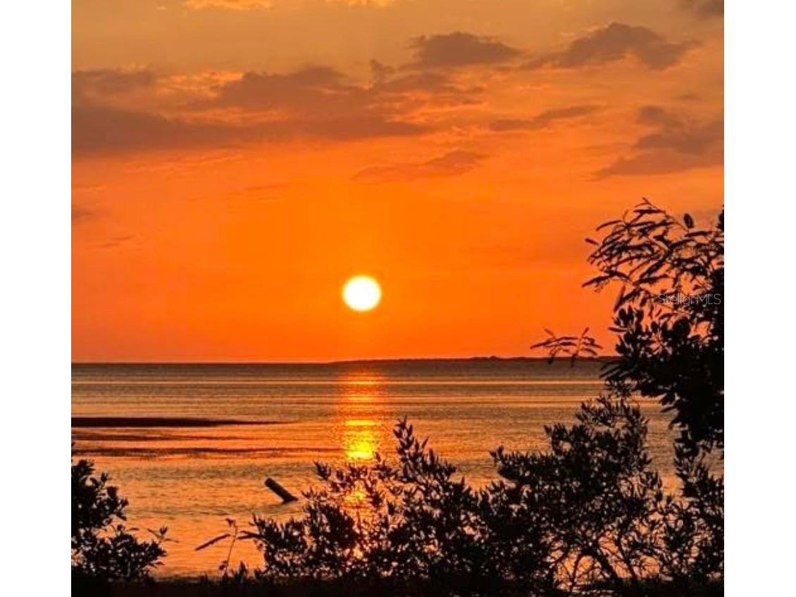 313 Crystal Beach Avenue Crystal Beach FL 34681 O6409459 image64