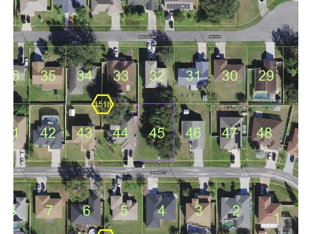 313 Ferrara Court Kissimmee FL 34758 T3500300 image1