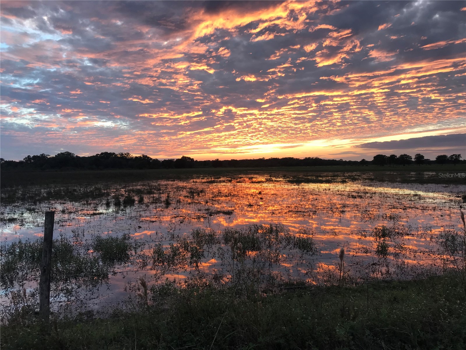 313 Gator Alley Lake Wales FL 33898 D6146343 image8