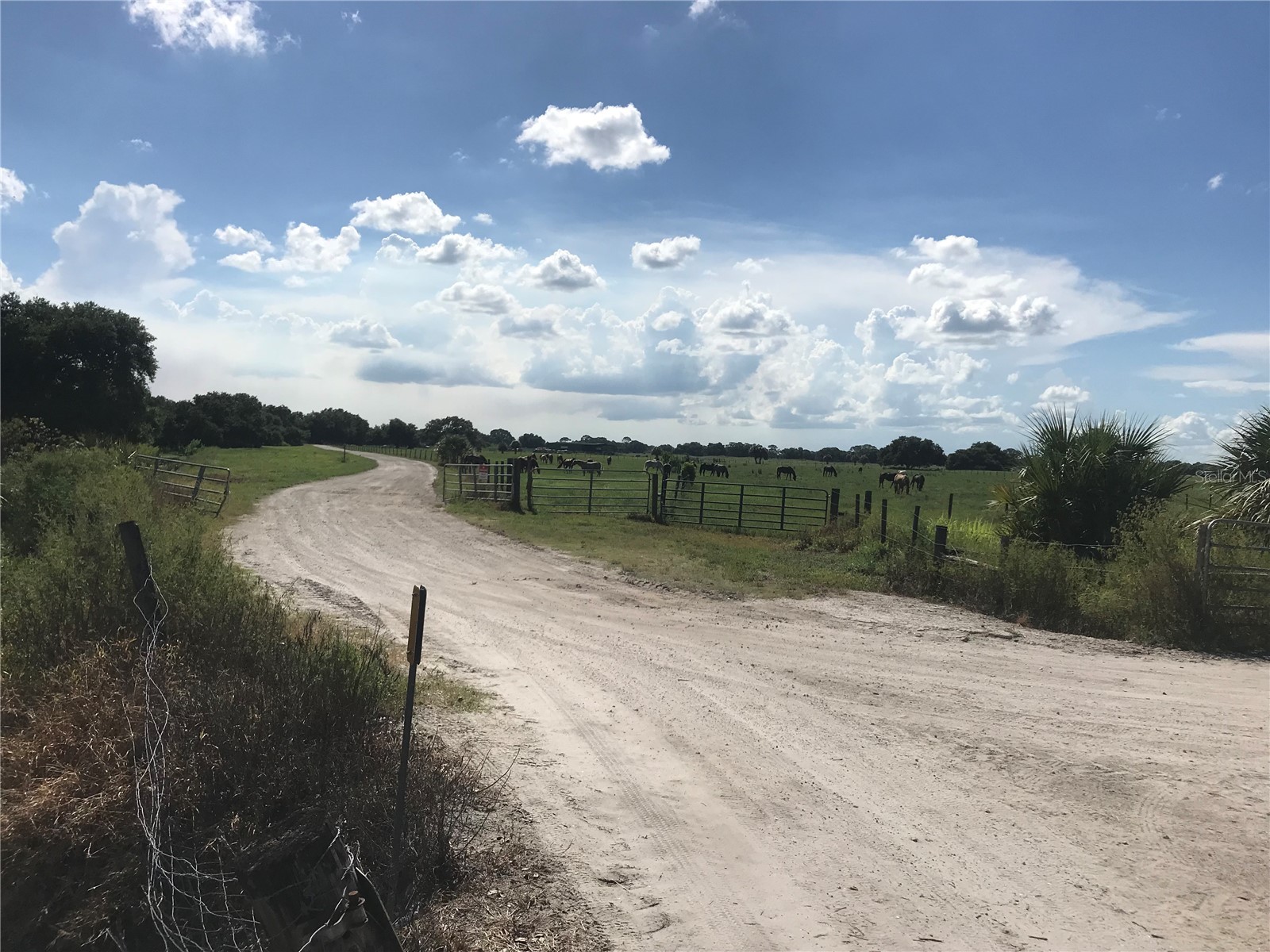 313 Gator Alley Lake Wales FL 33898 D6146343 image9