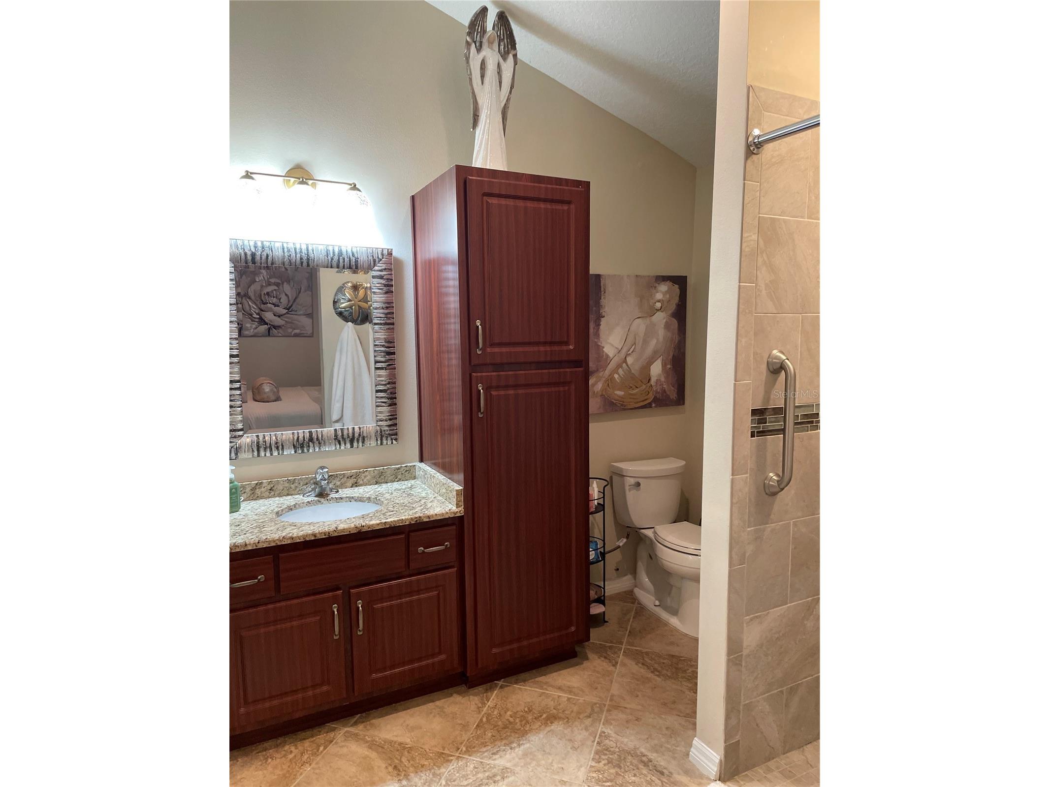 313 Gonzales Place Lady Lake FL 32159 O6392102 image11