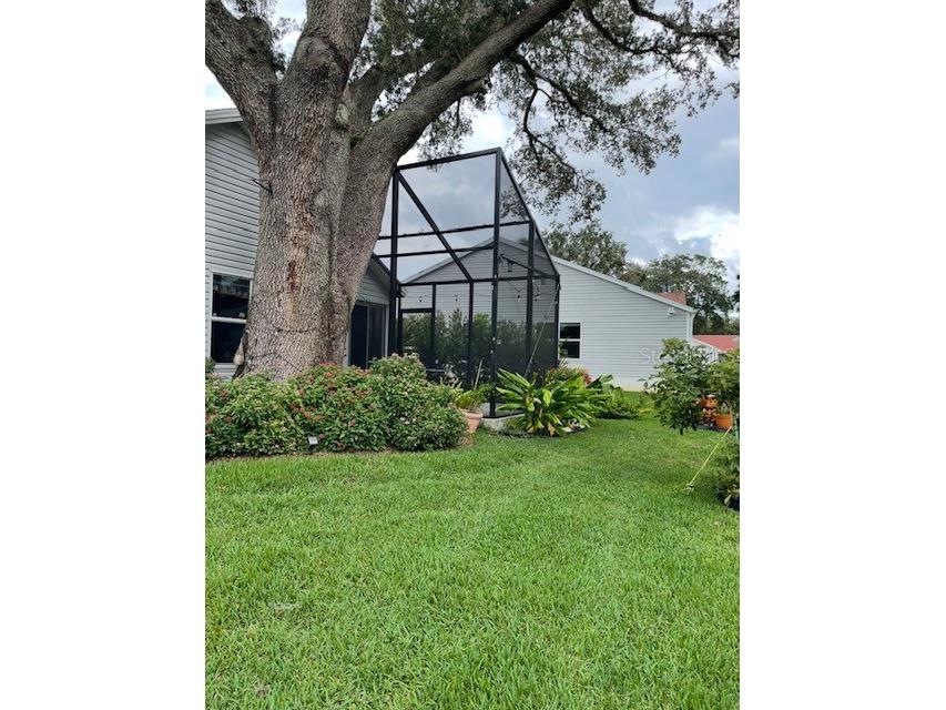 313 Gonzales Place Lady Lake FL 32159 O6392102 image15