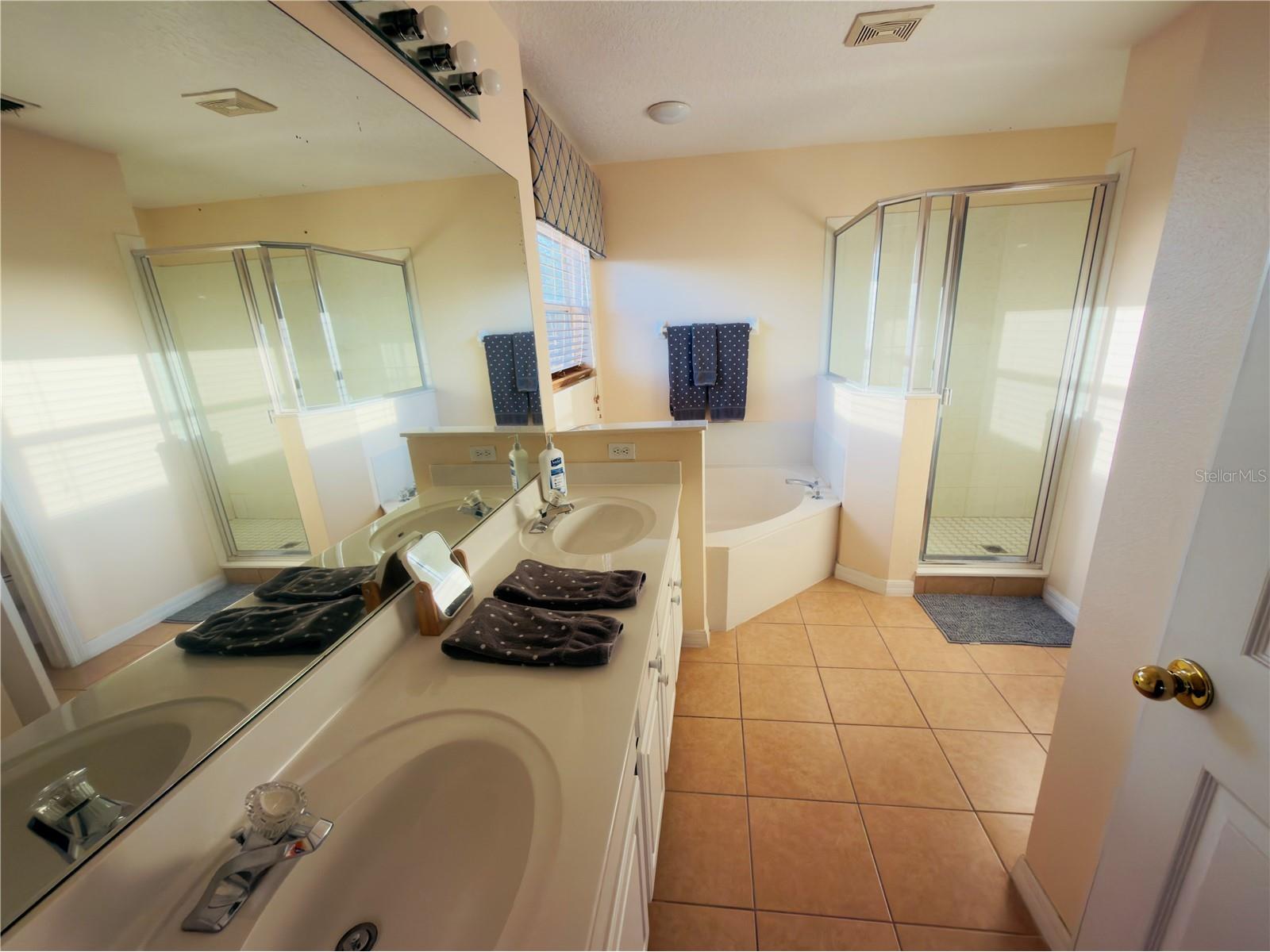313 Higher Combe Drive Davenport FL 33897 O6399361 image40
