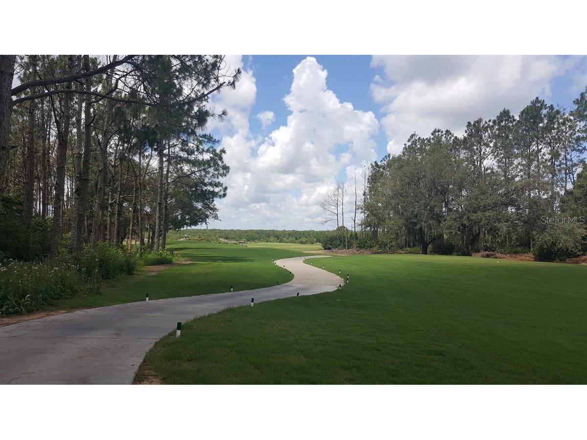 313 Higher Combe Drive Davenport FL 33897 O6399361 image5