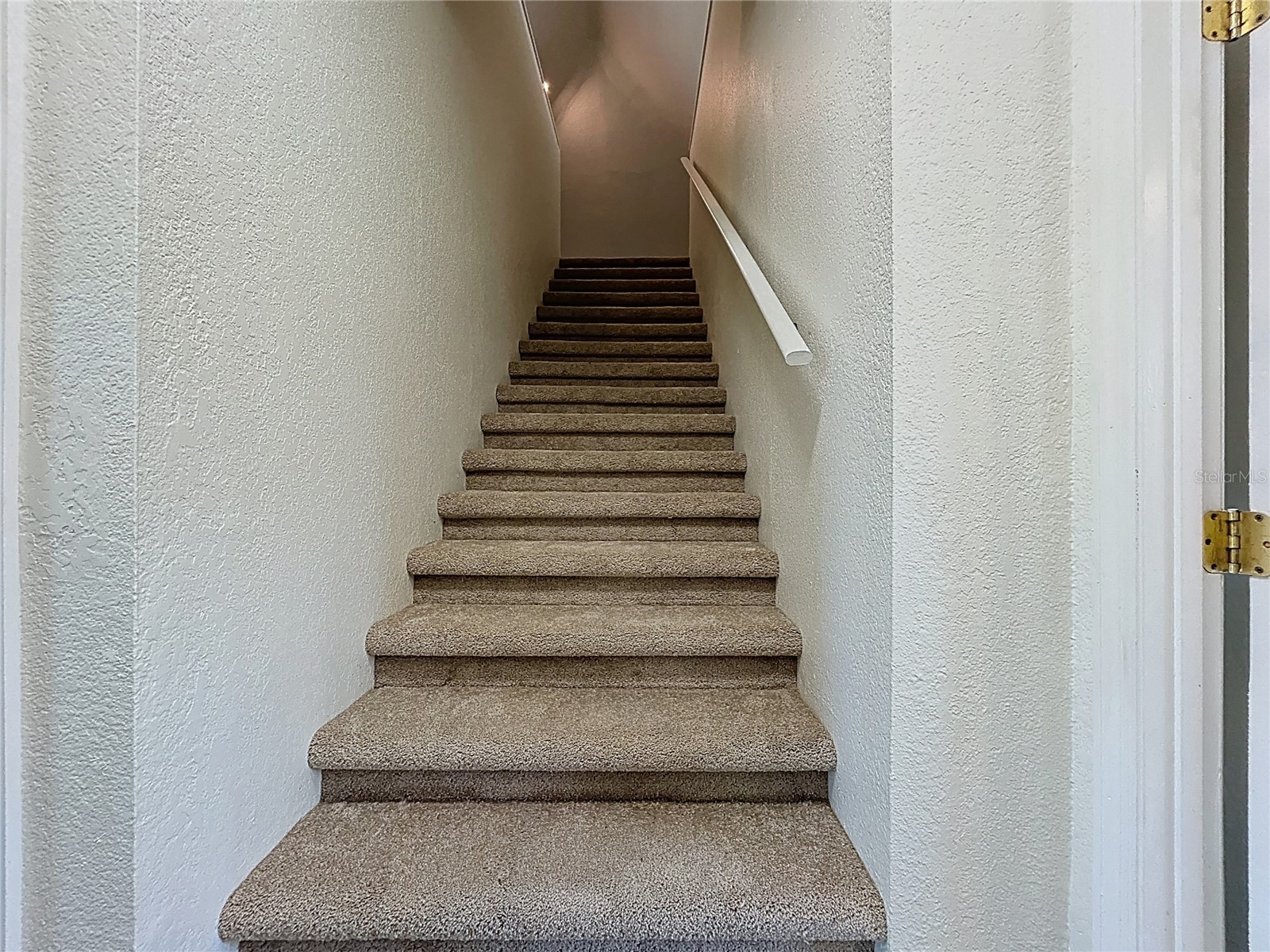 313 Jefferson Avenue S Oldsmar FL 34677 TB8502786 image46