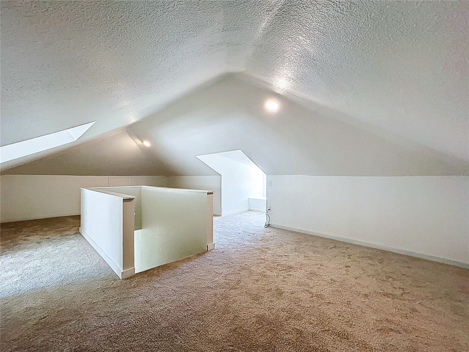 313 Jefferson Avenue S Oldsmar FL 34677 TB8502786 image47