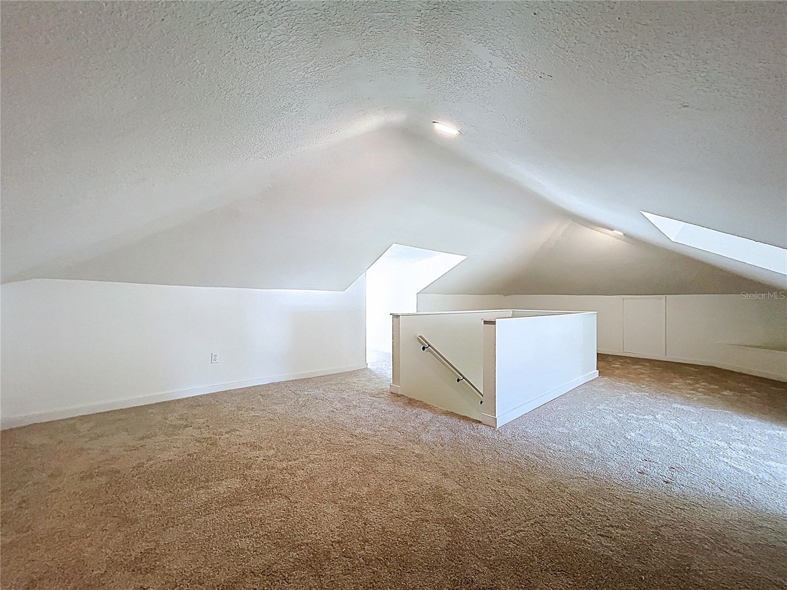 313 Jefferson Avenue S Oldsmar FL 34677 TB8502786 image49