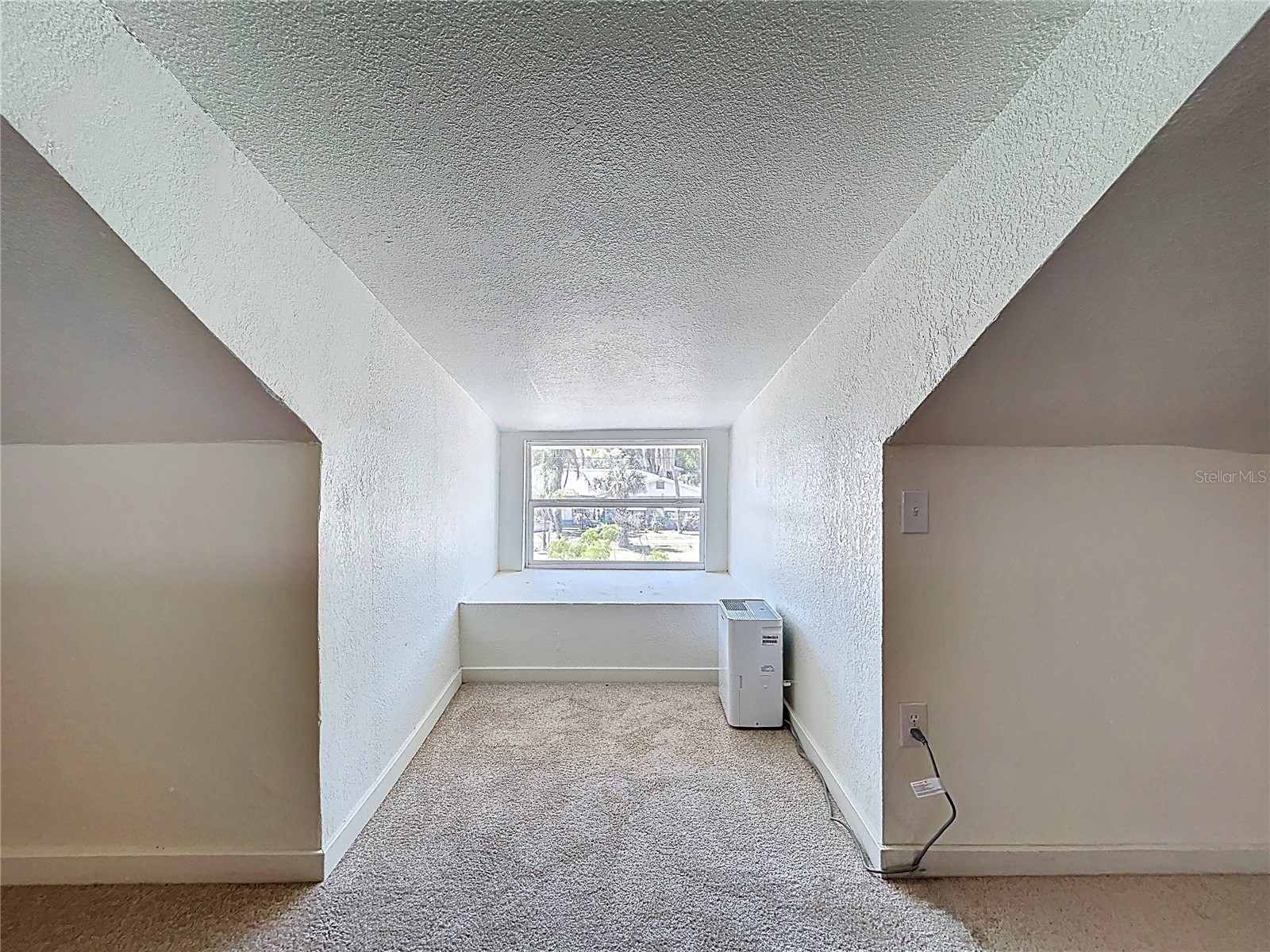 313 Jefferson Avenue S Oldsmar FL 34677 TB8502786 image50