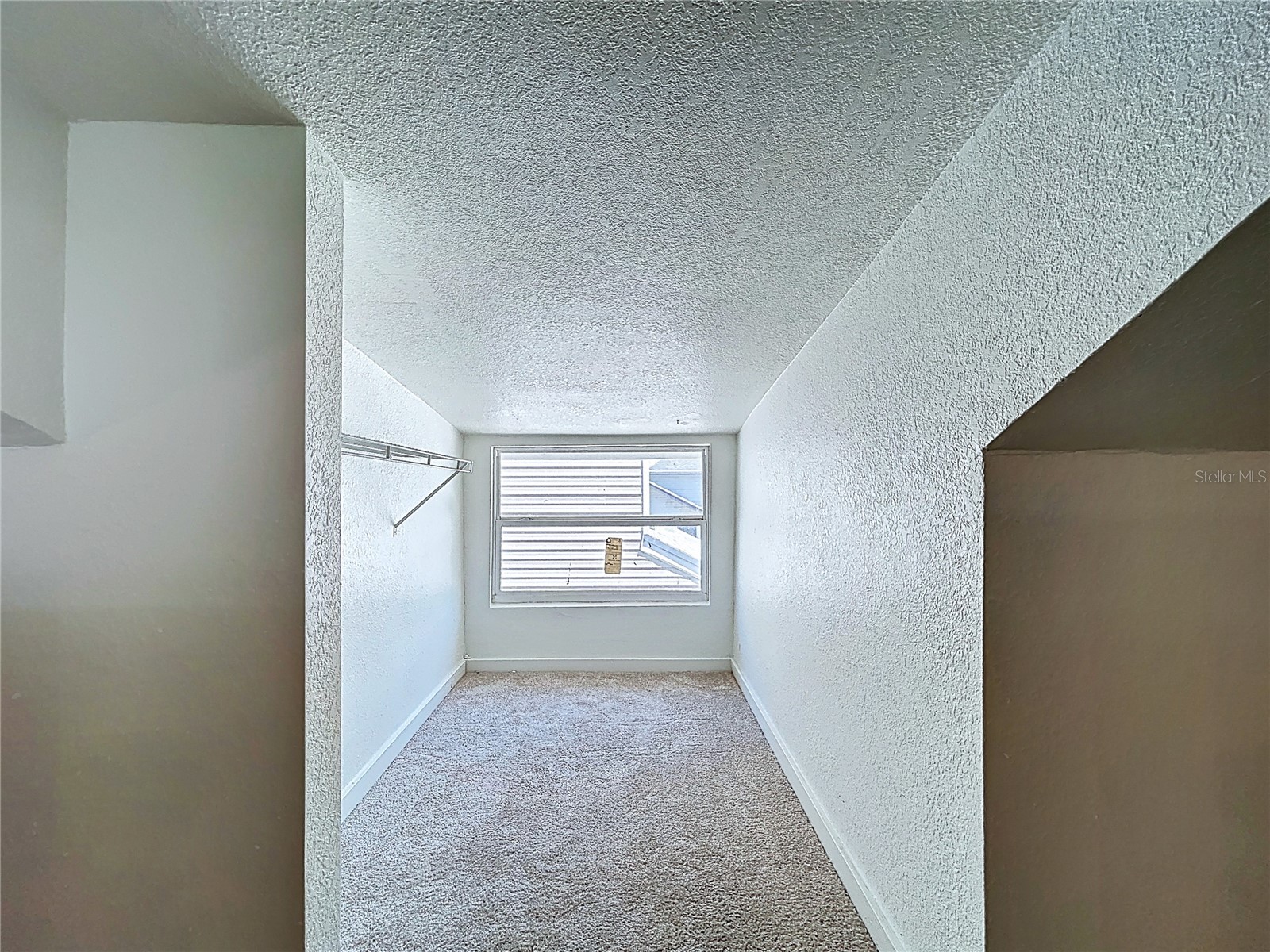 313 Jefferson Avenue S Oldsmar FL 34677 TB8502786 image53