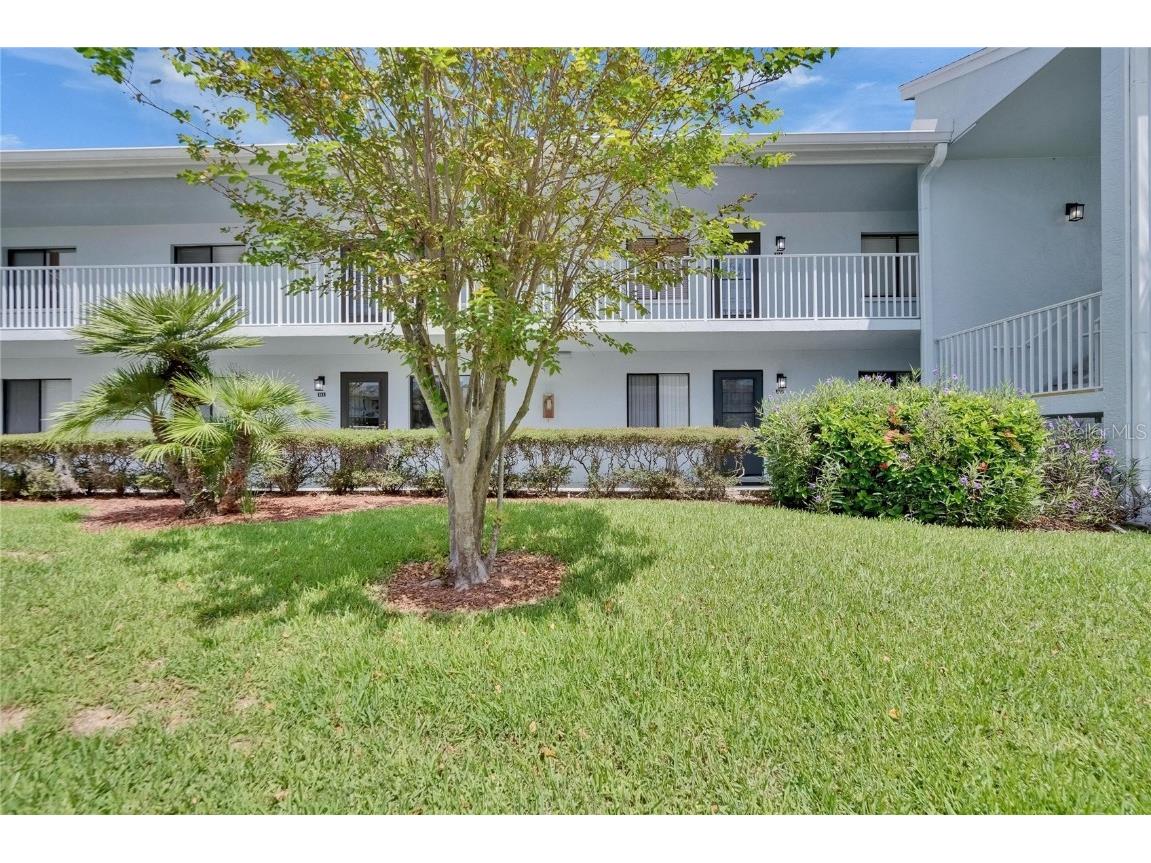 313 Martha Lane #4 Oldsmar FL 34677 TB8357672 image1