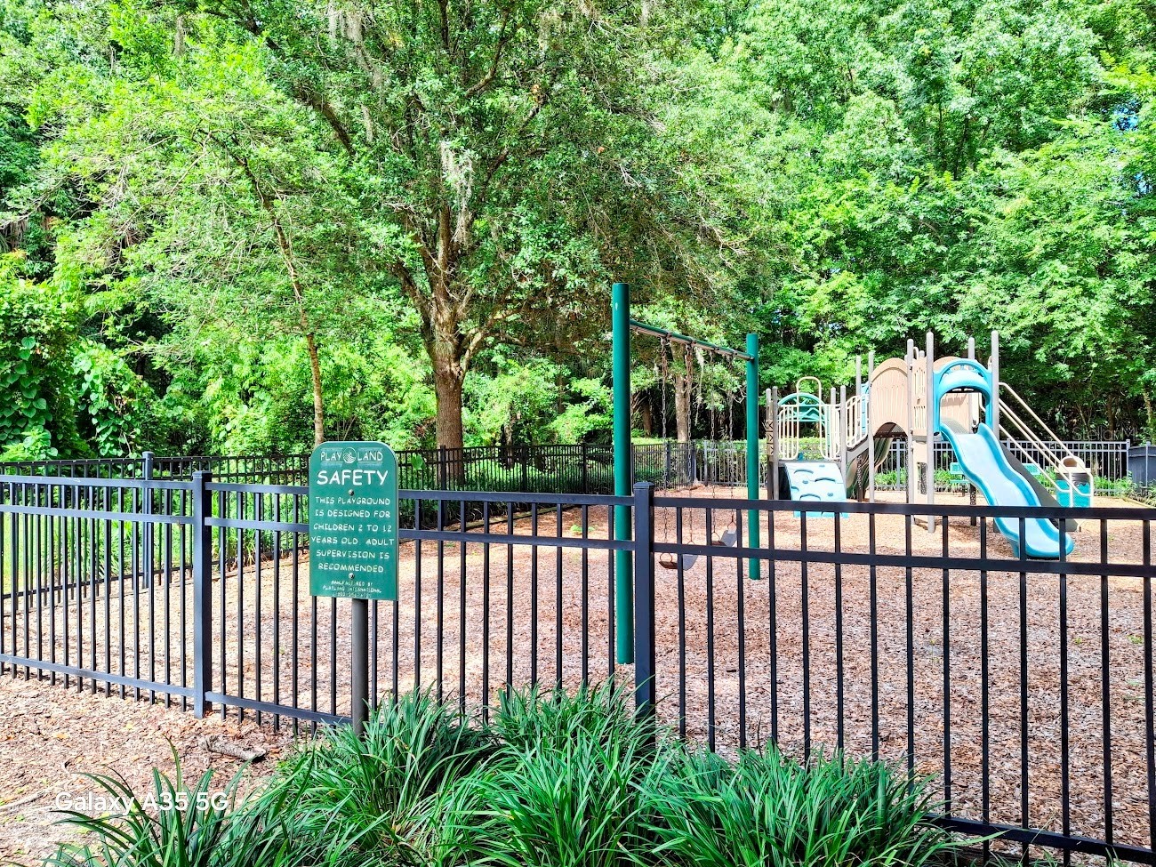 313 Munson Hills Court Oviedo FL 32765 O6414657 image45