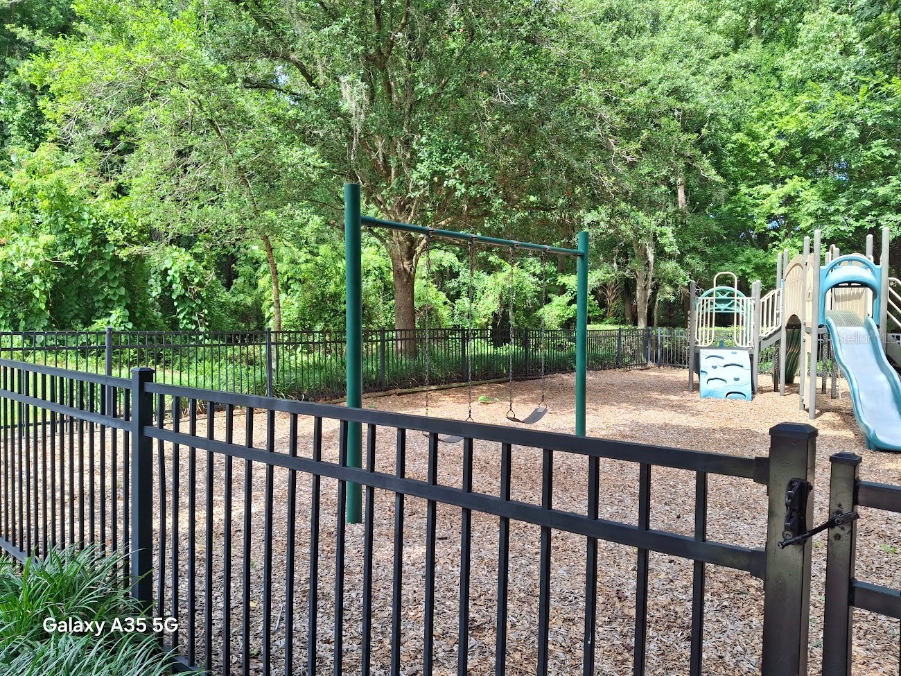 313 Munson Hills Court Oviedo FL 32765 O6414657 image46
