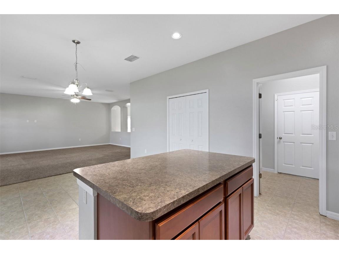 313 Oak Landing Drive Mulberry FL 33860 L4956752 image9