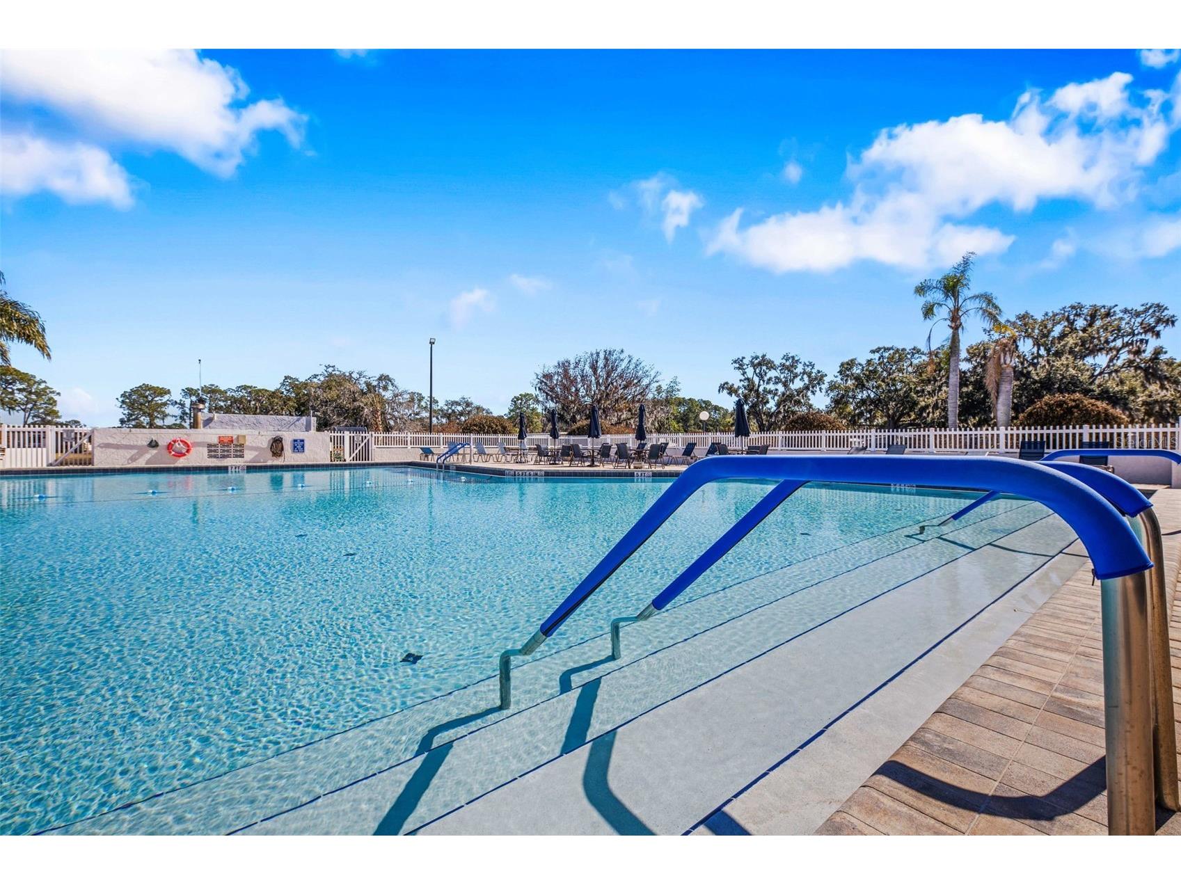 313 Palo Verde Drive Leesburg FL 34748 O6380700 image28