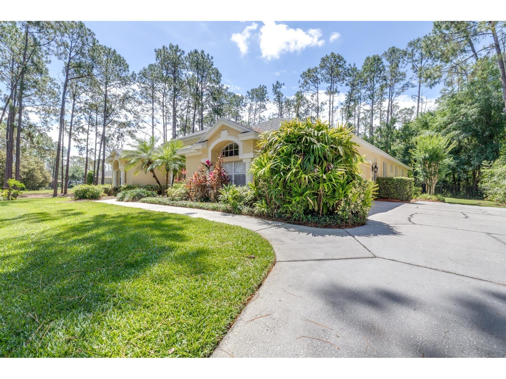 313 Pine Bluff Drive Lutz FL 33549 TB8504865 image5