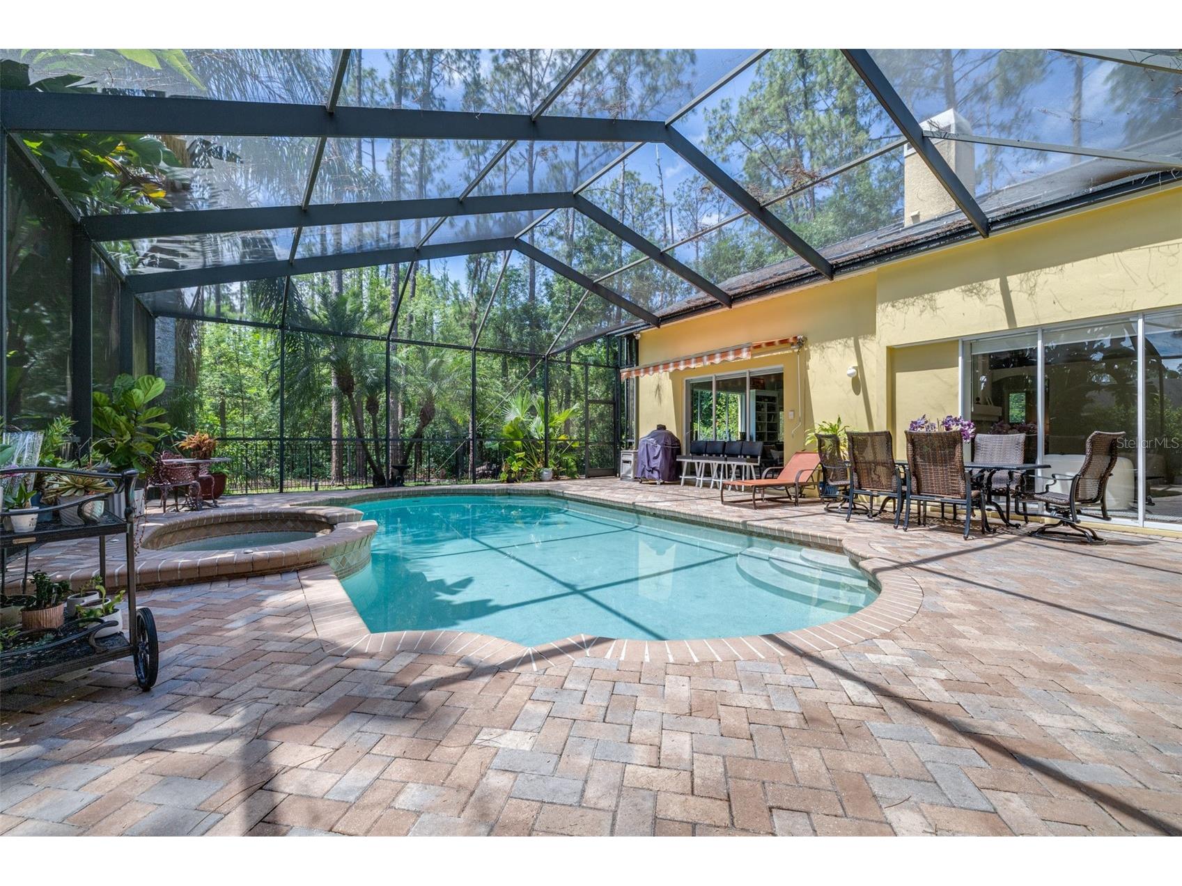 313 Pine Bluff Drive Lutz FL 33549 TB8504865 image55