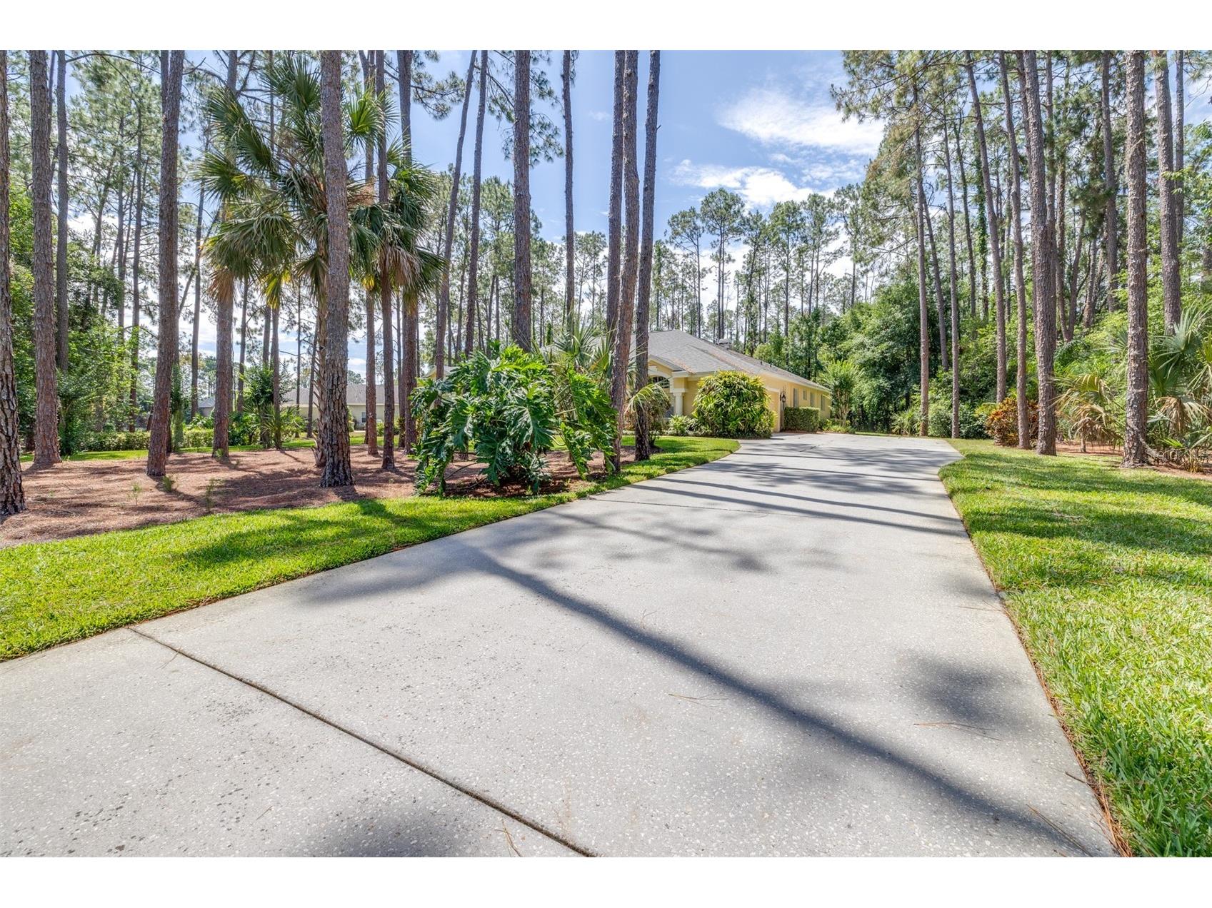 313 Pine Bluff Drive Lutz FL 33549 TB8504865 image6