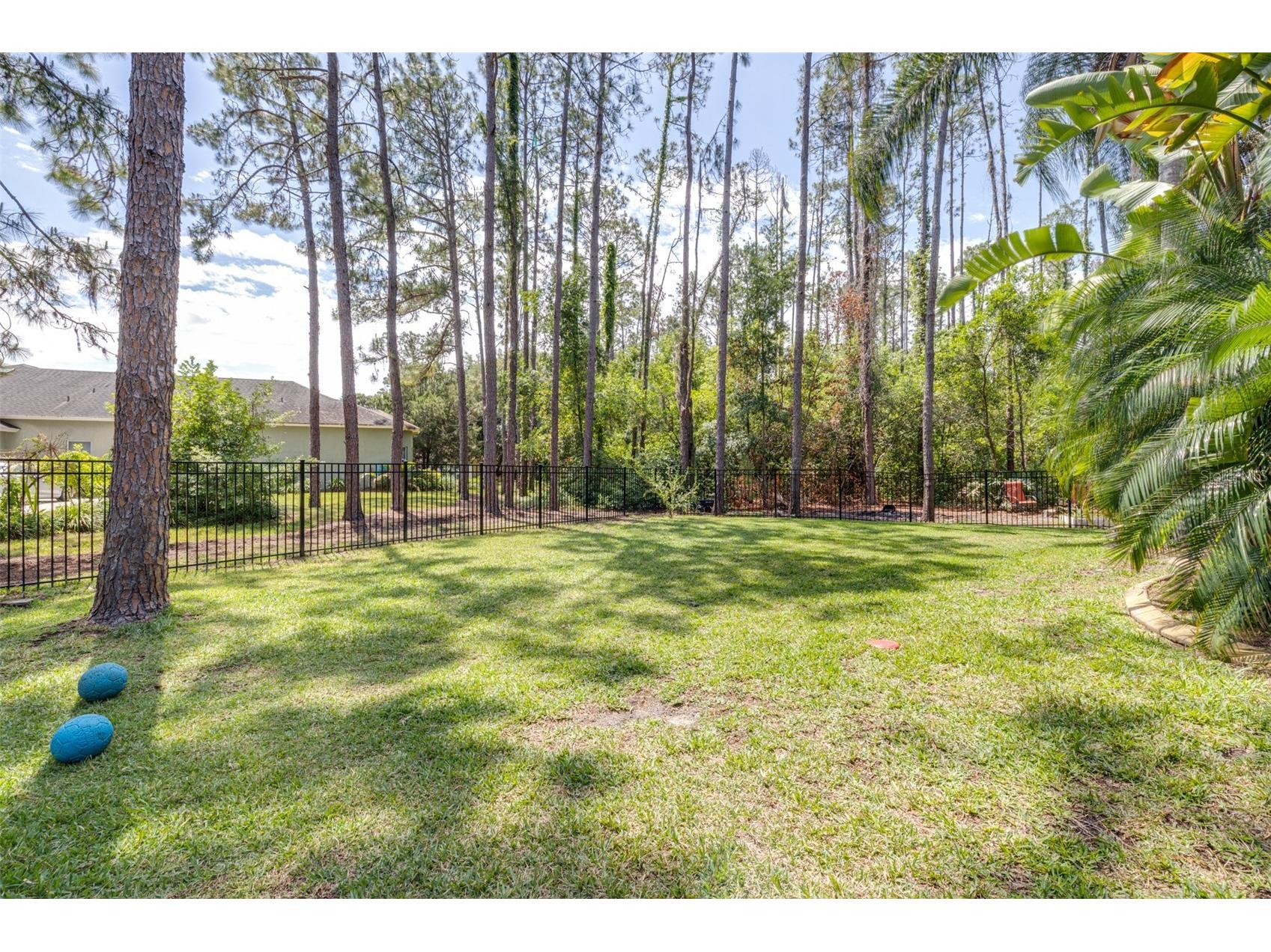 313 Pine Bluff Drive Lutz FL 33549 TB8504865 image61