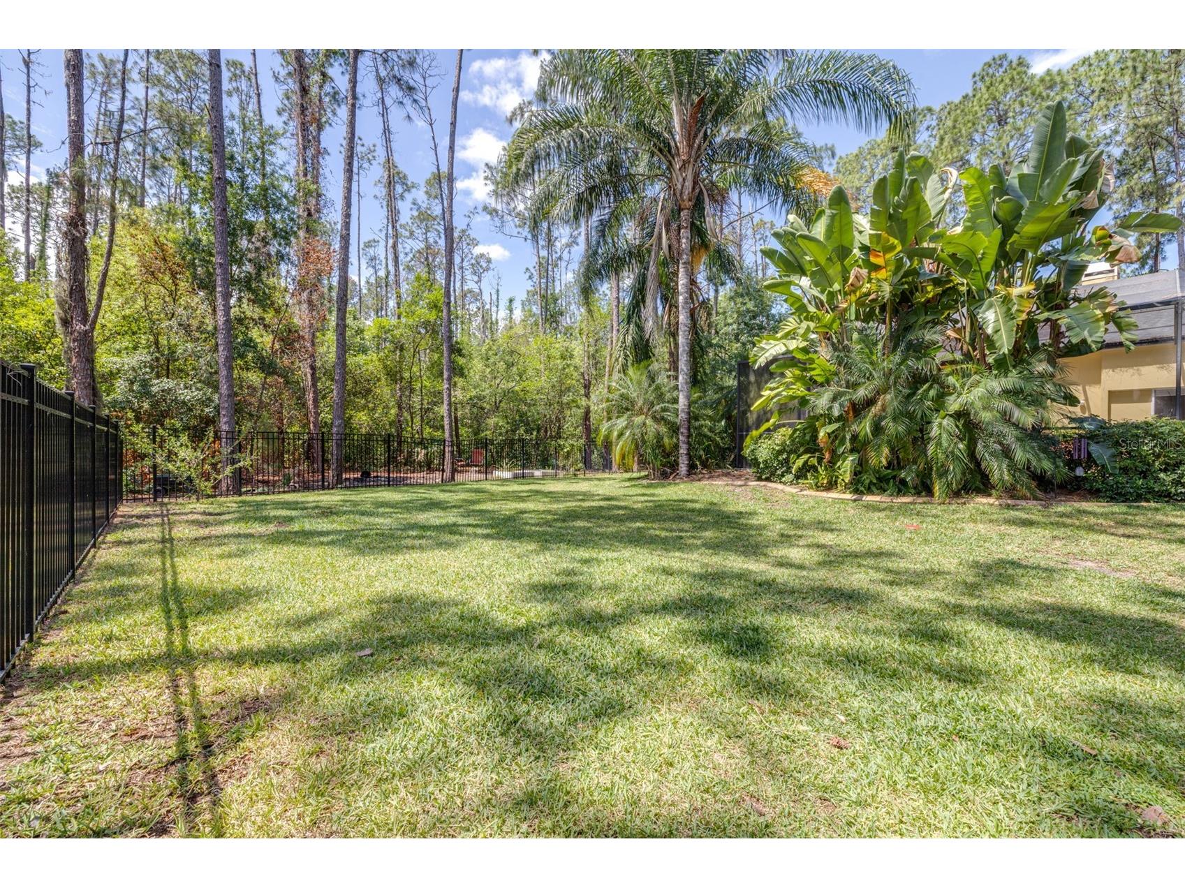313 Pine Bluff Drive Lutz FL 33549 TB8504865 image62