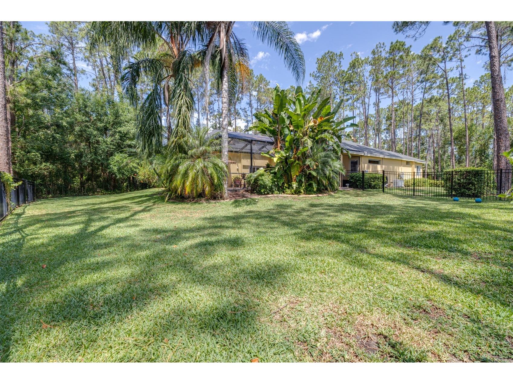 313 Pine Bluff Drive Lutz FL 33549 TB8504865 image64