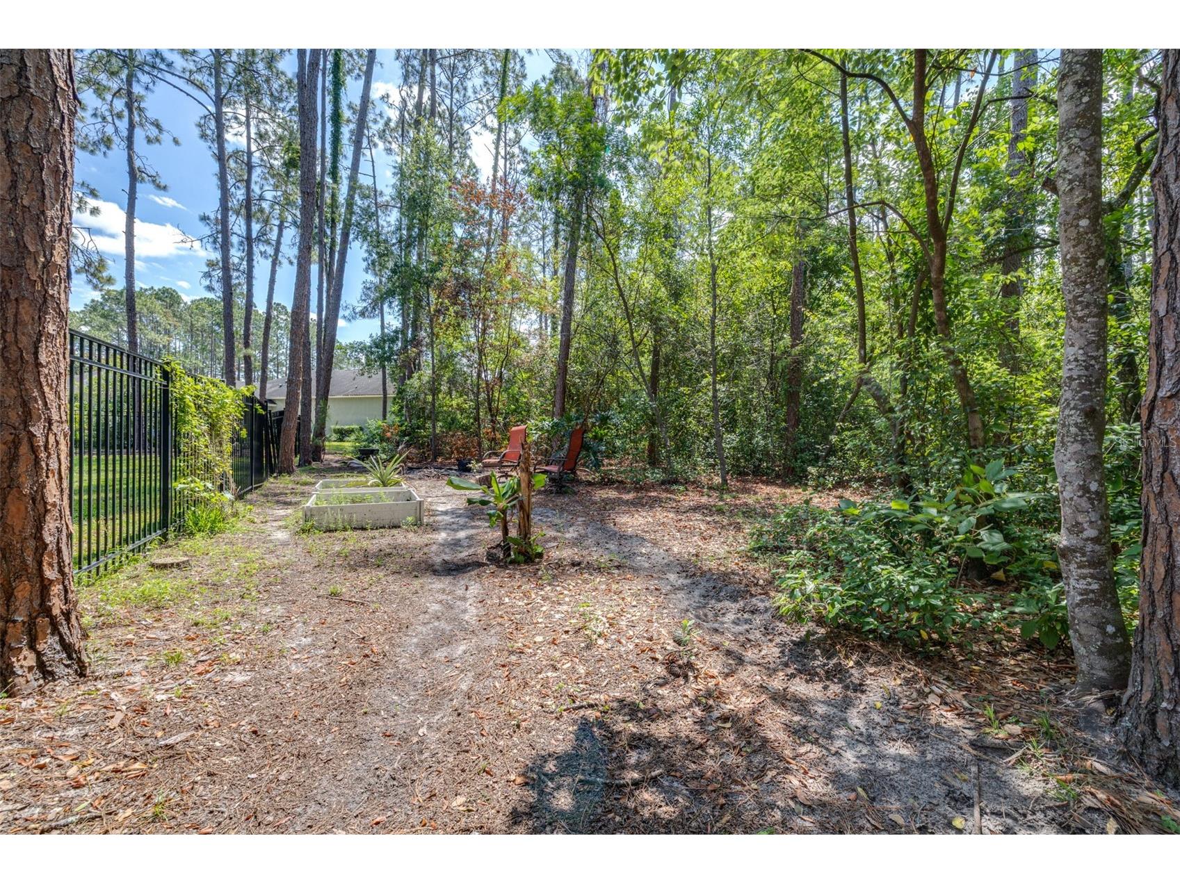 313 Pine Bluff Drive Lutz FL 33549 TB8504865 image65
