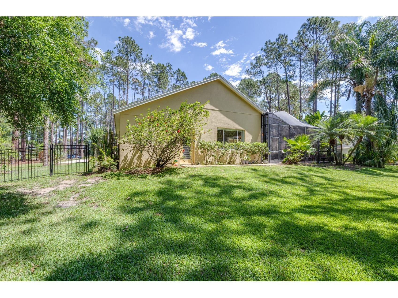 313 Pine Bluff Drive Lutz FL 33549 TB8504865 image66