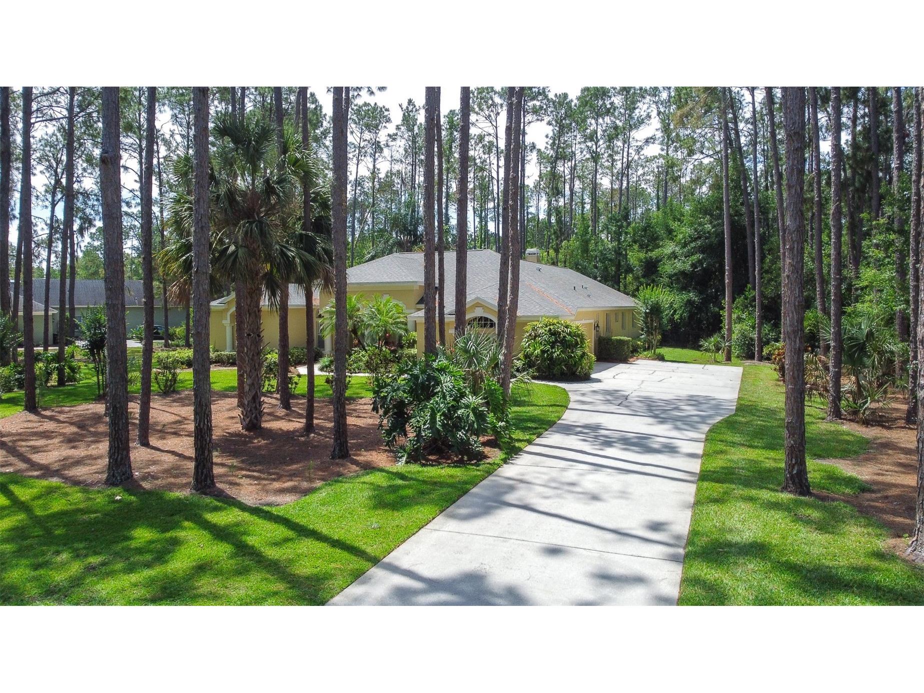 313 Pine Bluff Drive Lutz FL 33549 TB8504865 image69