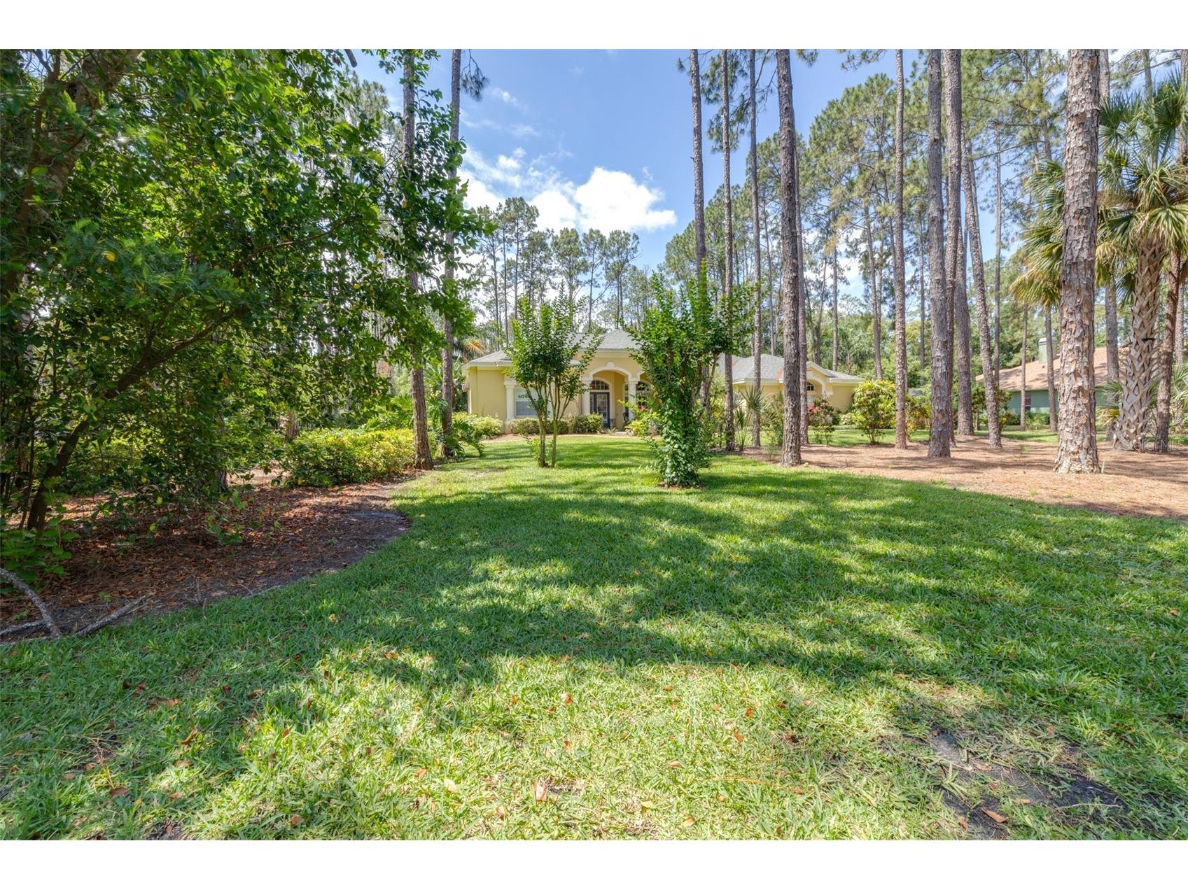 313 Pine Bluff Drive Lutz FL 33549 TB8504865 image7