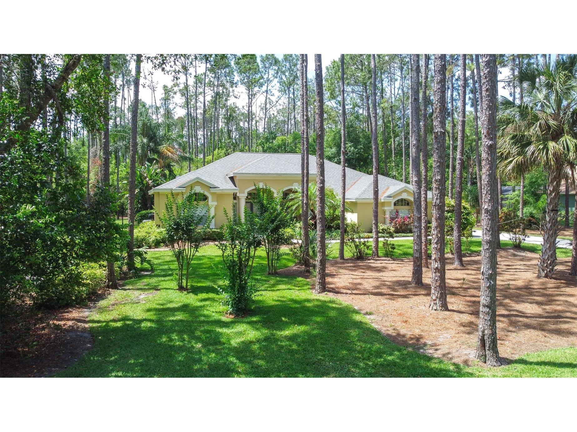 313 Pine Bluff Drive Lutz FL 33549 TB8504865 image70
